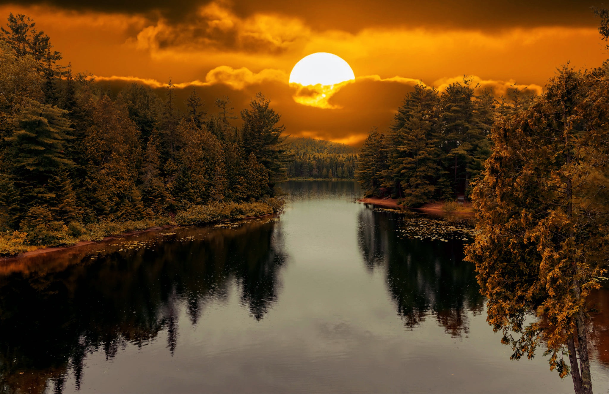 Free download wallpaper Sunset, Sun, Reflection, Forest, Earth on your PC desktop