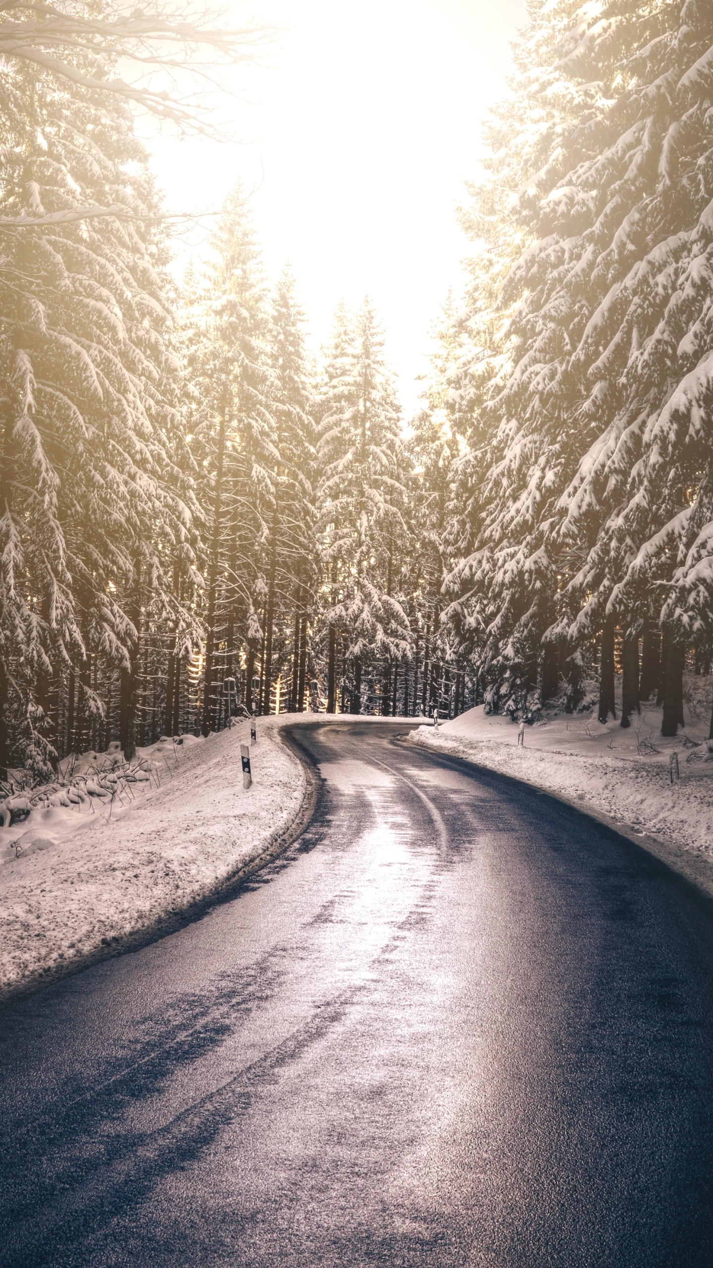 無料モバイル壁紙冬, 自然, 木, 雪, 道, 森, マンメイドをダウンロードします。