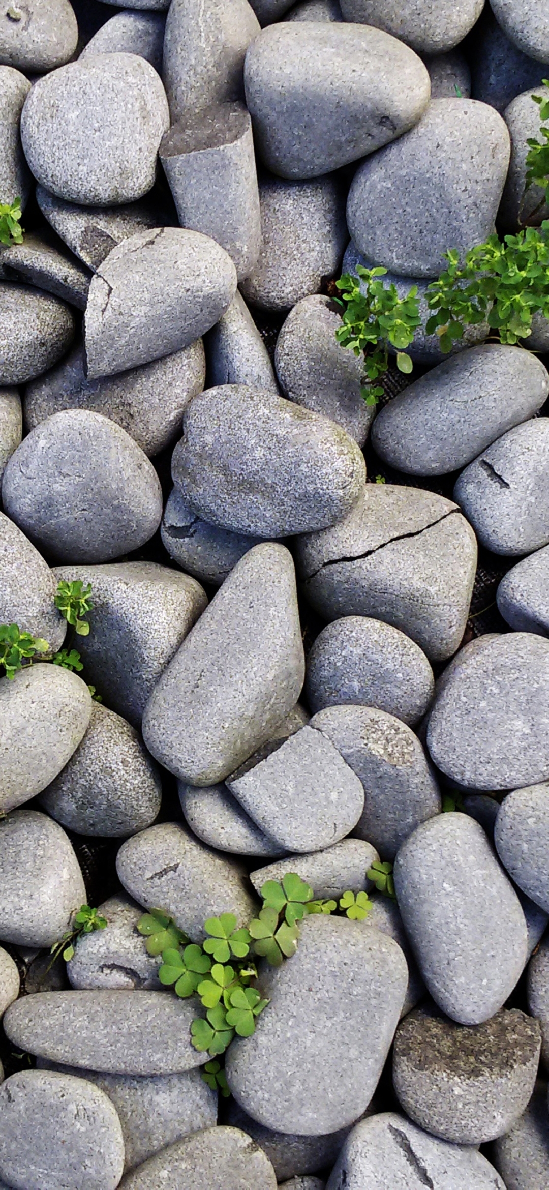 Descarga gratuita de fondo de pantalla para móvil de Piedra, Tierra/naturaleza.