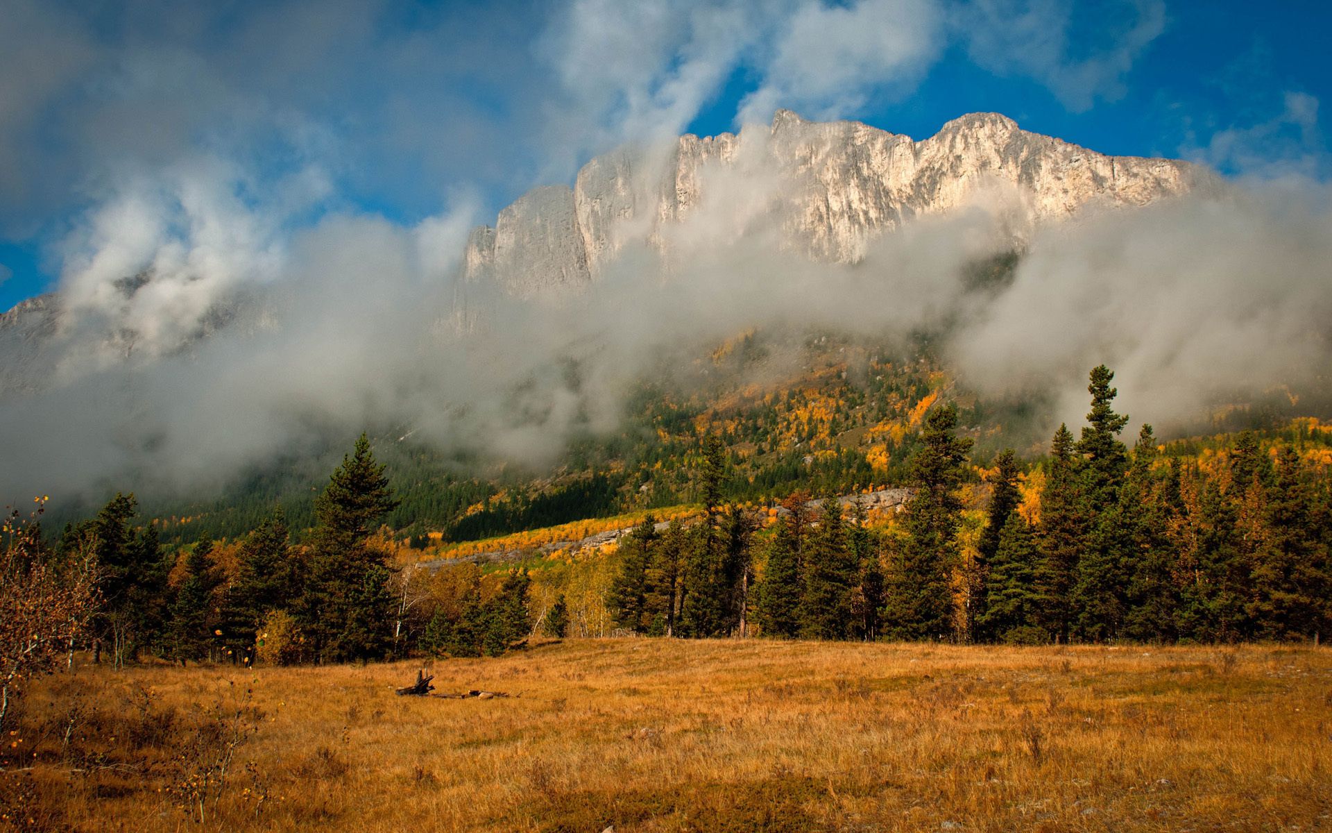 PCデスクトップに自然, モミ, スプルース, 木, 山脈, 霧, 雲, 秋画像を無料でダウンロード