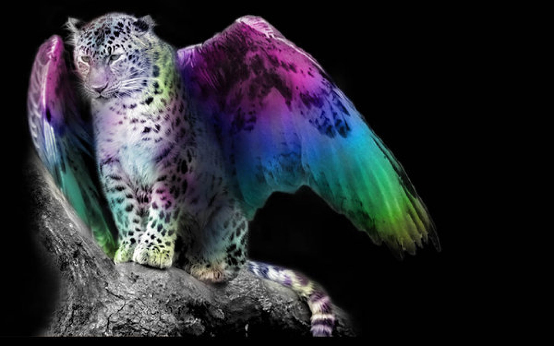 Descarga gratuita de fondo de pantalla para móvil de Animales, Fantasía, Leopardo.