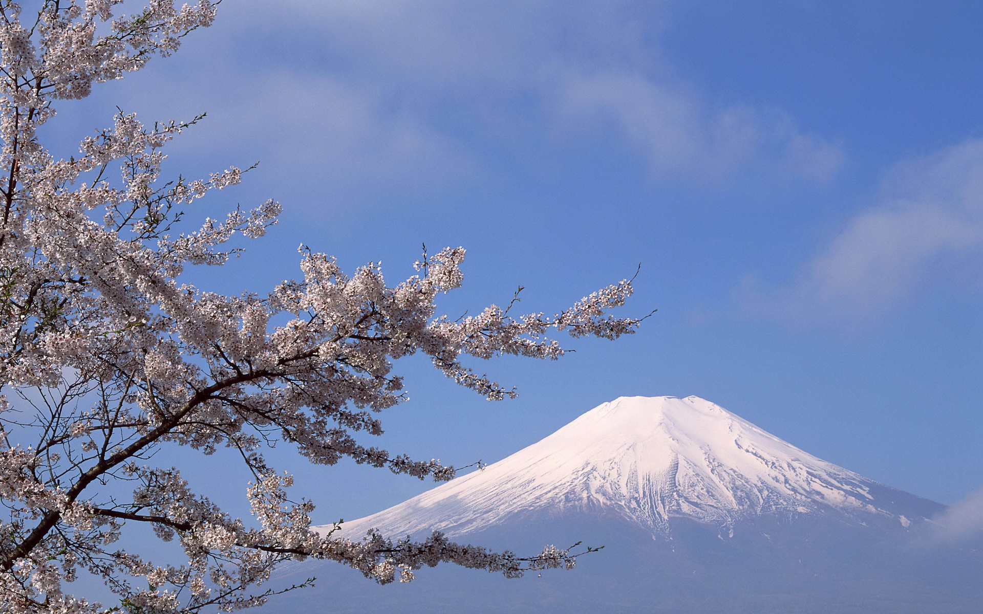 Baixar papel de parede para celular de Montanha, Monte Fuji, Terra/natureza gratuito.