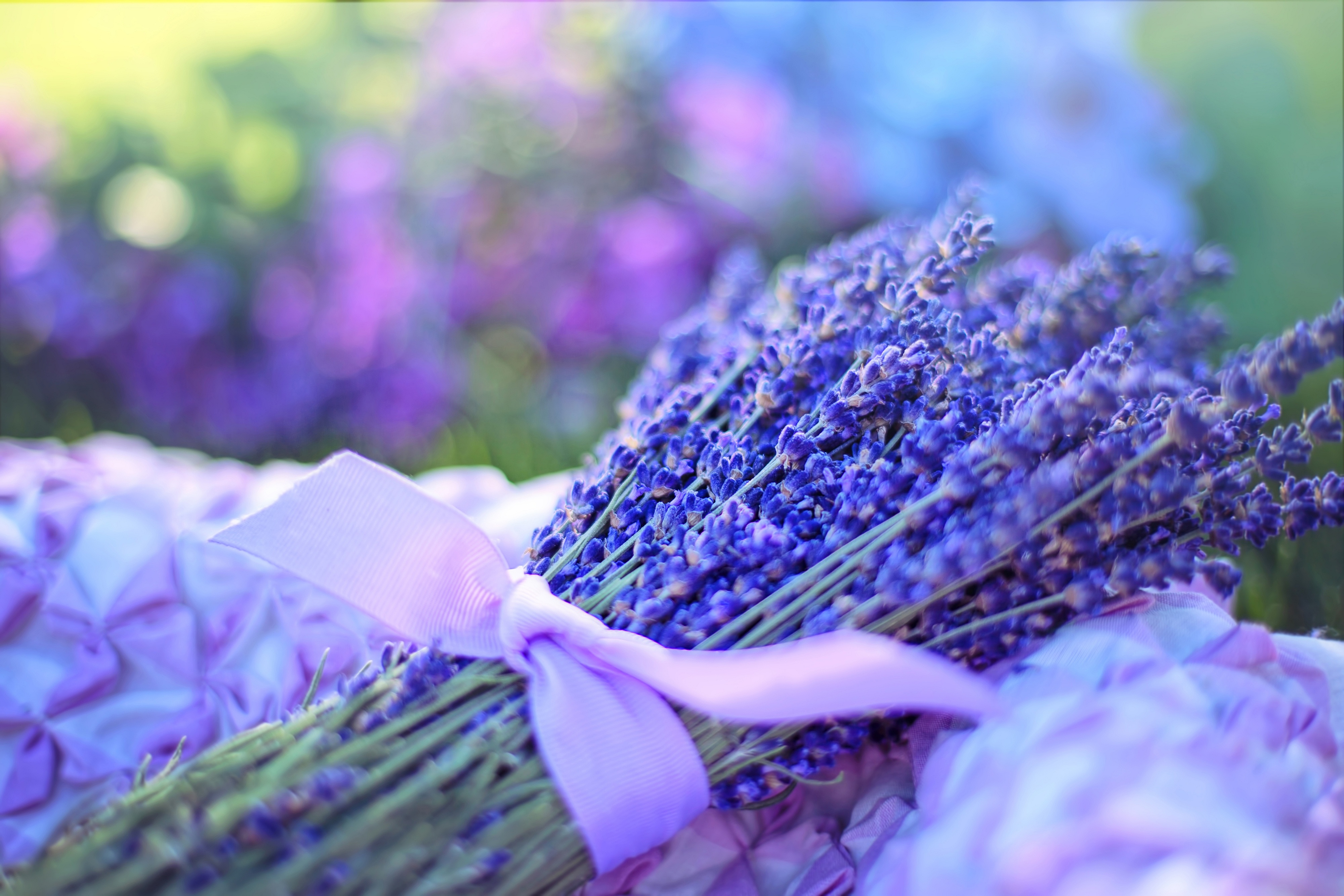 Laden Sie das Blume, Strauß, Bokeh, Lavendel, Menschengemacht, Blaue Blume-Bild kostenlos auf Ihren PC-Desktop herunter