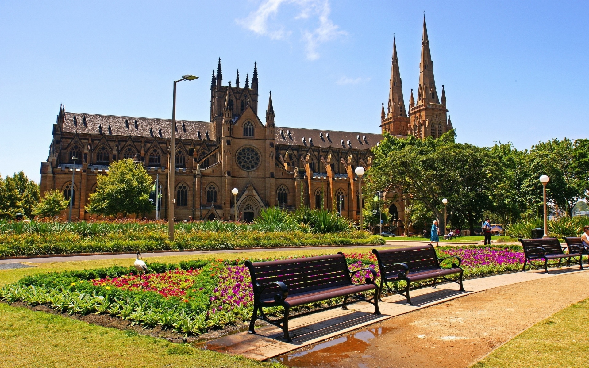 Скачать обои бесплатно Сидней, Австралия, Кафедральный Собор, Религиозные, Соборы картинка на рабочий стол ПК