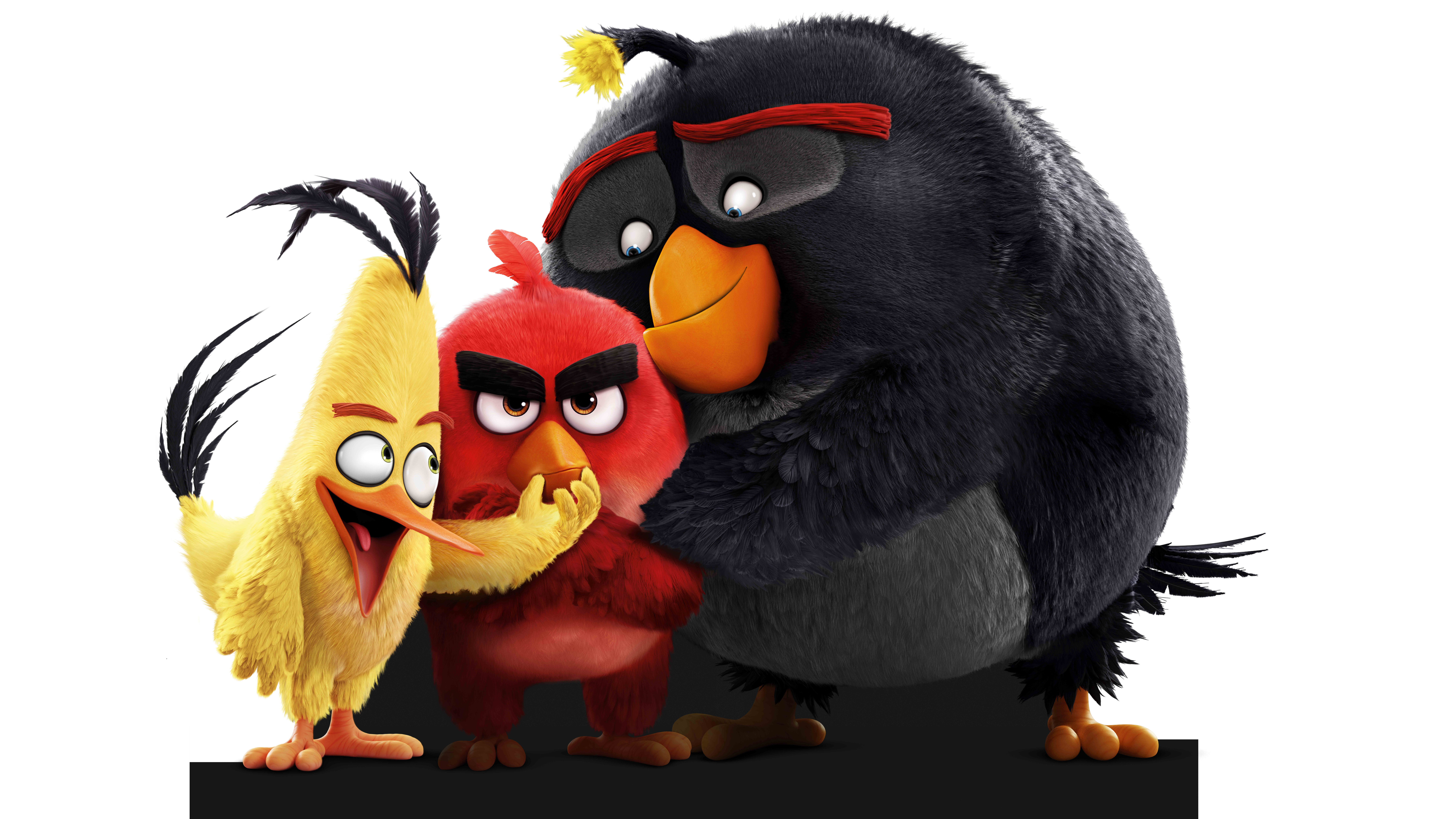 Los mejores fondos de pantalla de Angry Birds: La Película para la pantalla del teléfono