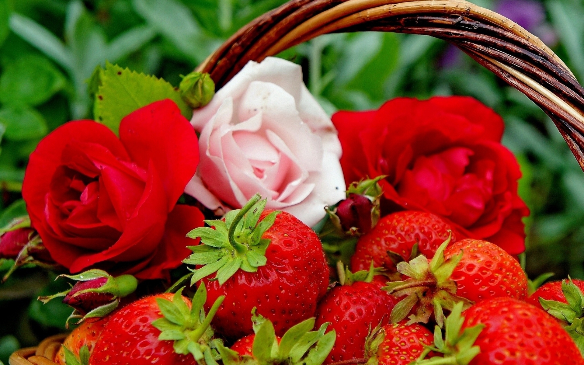 Завантажити шпалери безкоштовно Рослини, Ягоди, Полуниця, Квіти, Рози картинка на робочий стіл ПК
