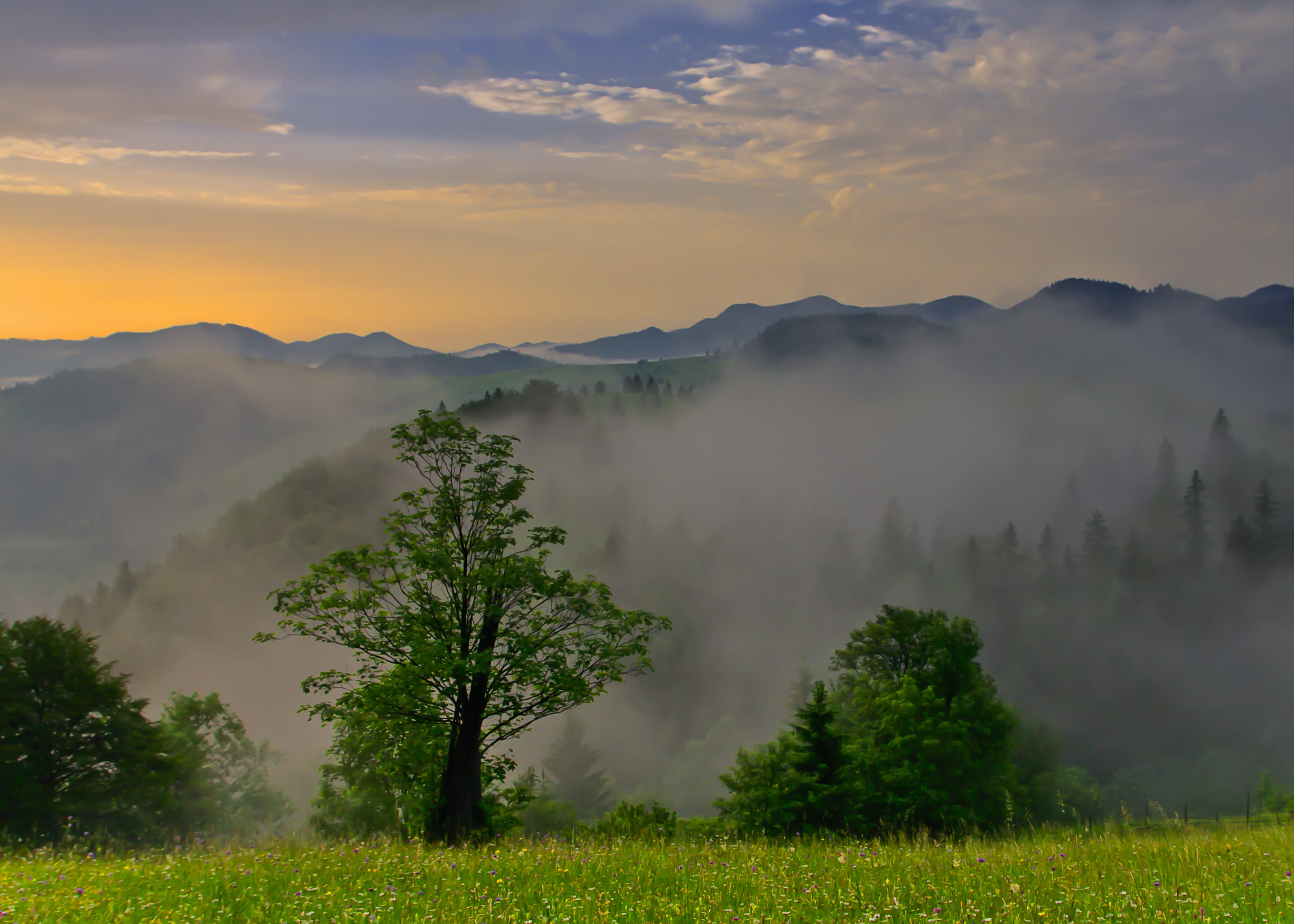 Laden Sie das Natur, Bäume, Höhe, Clouds, Morgendämmerung, Sky-Bild kostenlos auf Ihren PC-Desktop herunter
