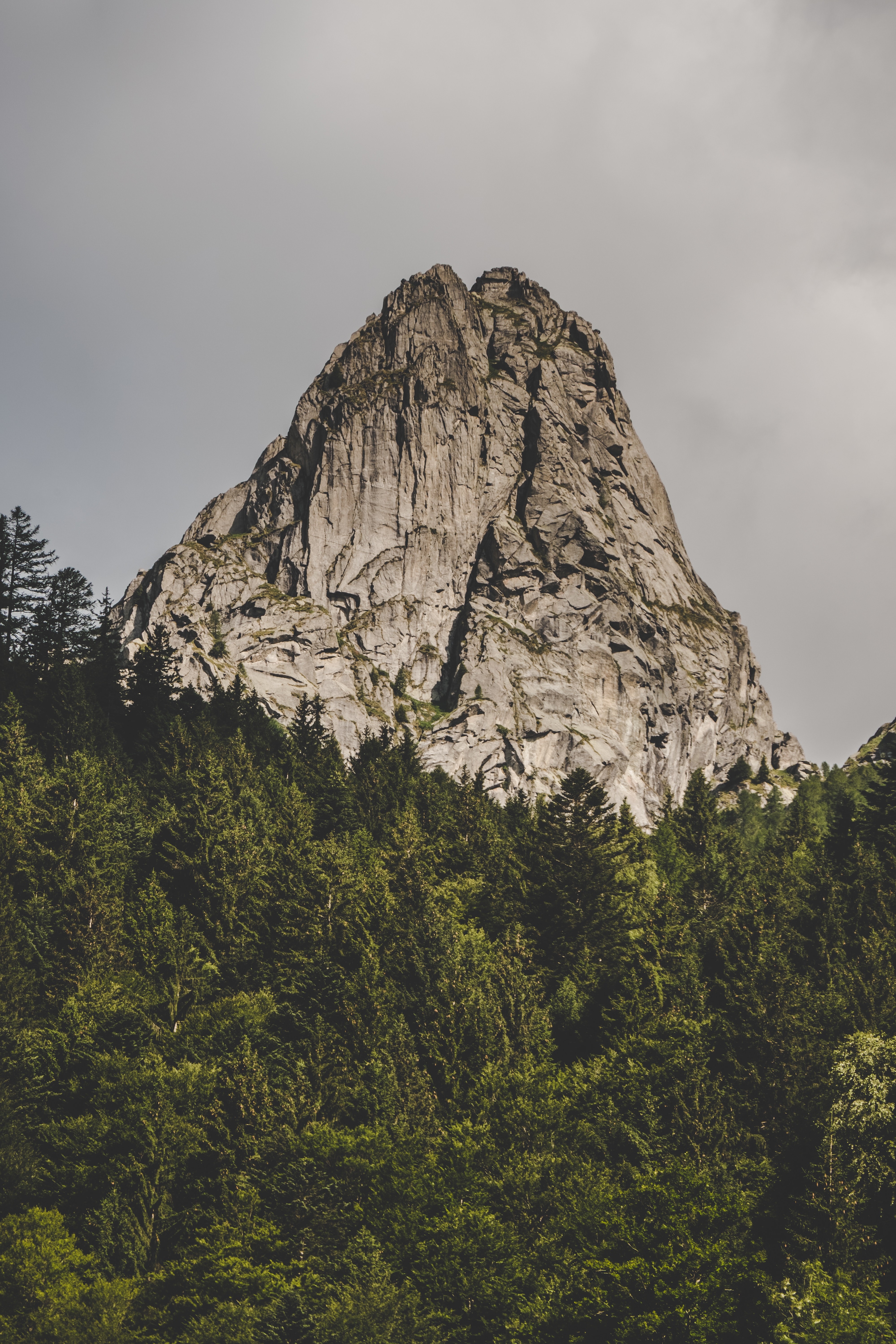 Laden Sie das Natur, Felsen, Rock, Berg, Scheitel, Nach Oben, Wald, Bäume-Bild kostenlos auf Ihren PC-Desktop herunter