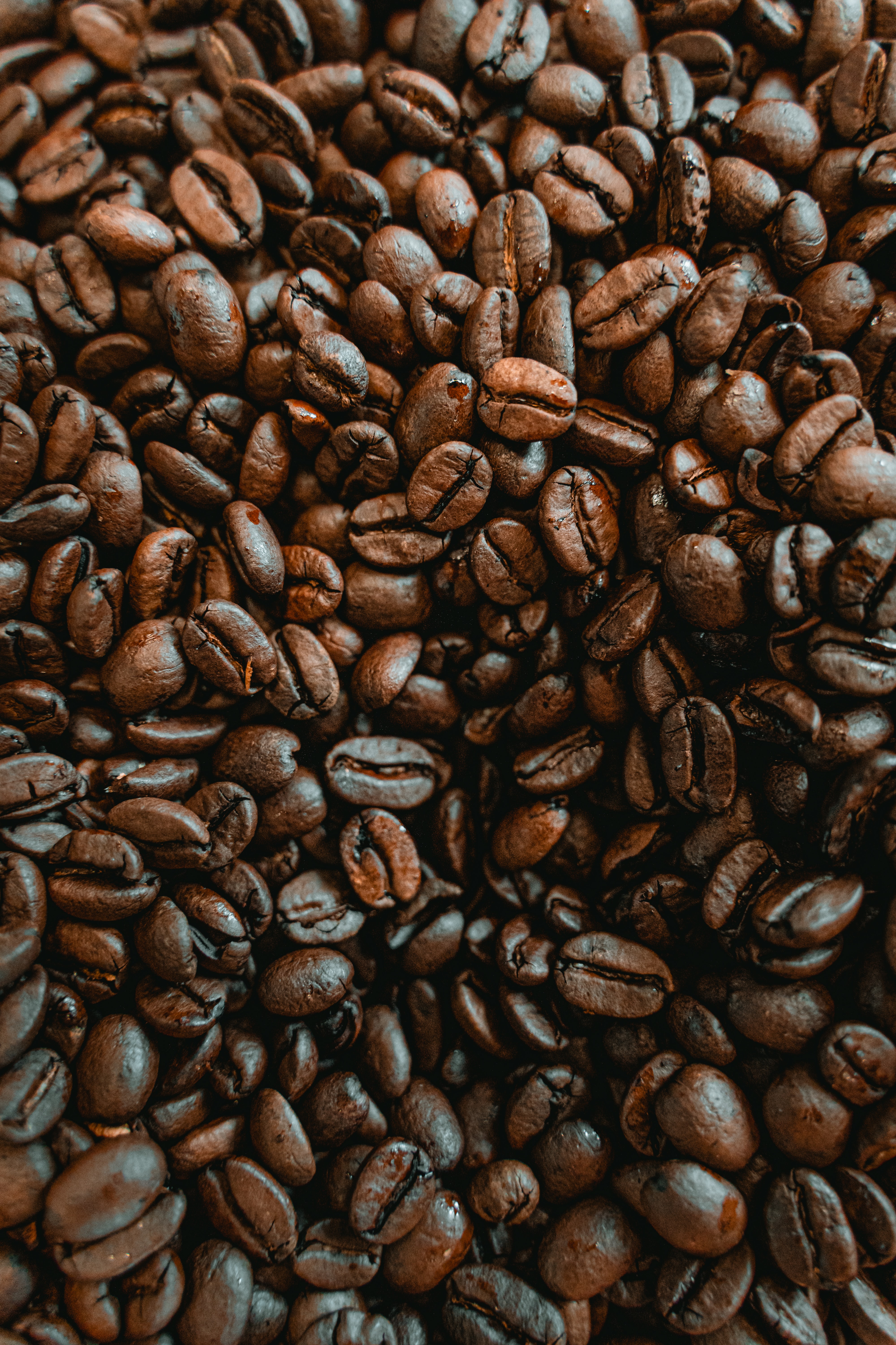 brown, coffee beans, coffee, food, macro