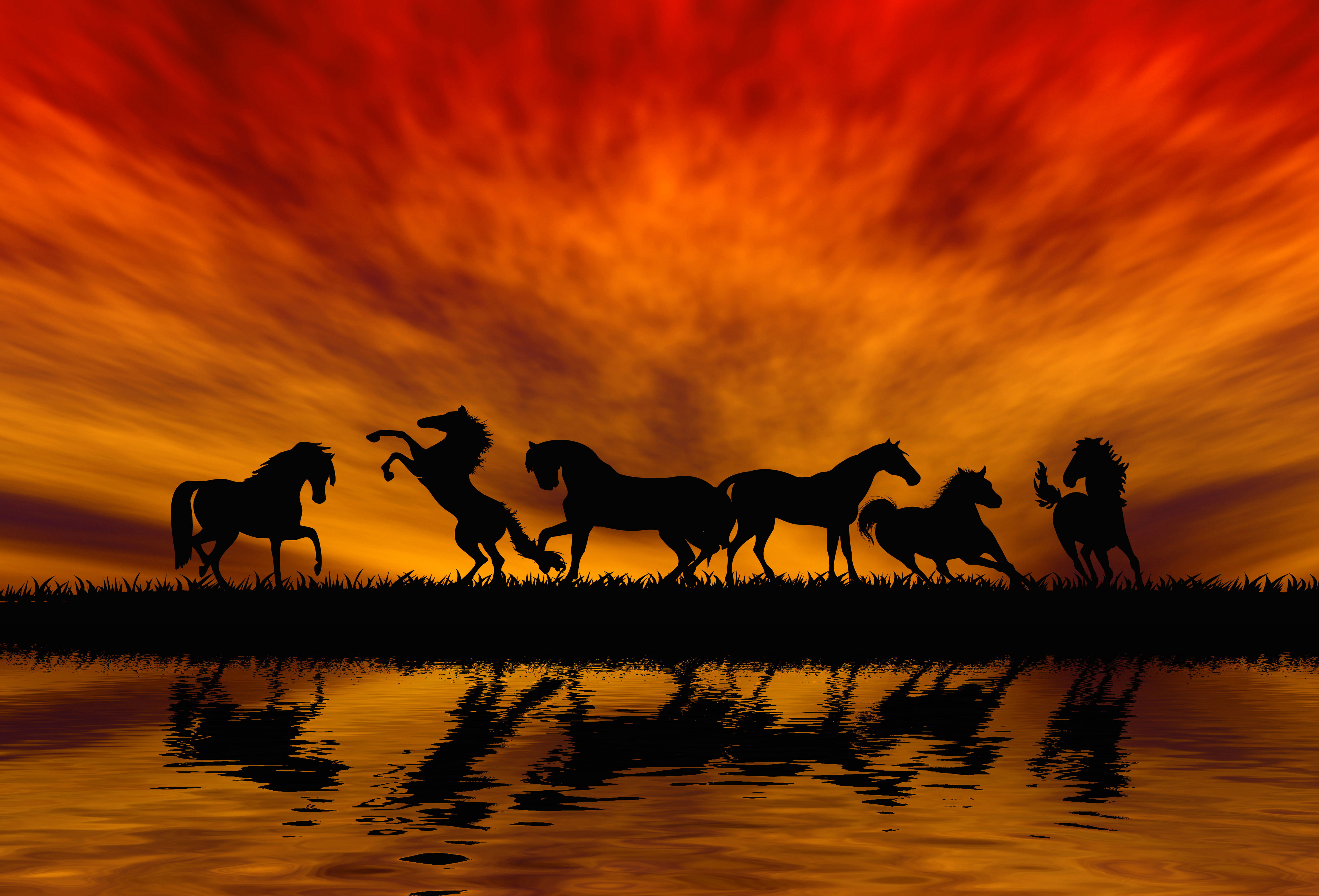 Laden Sie das Tiere, Silhouette, Sonnenuntergang, Hauspferd, Spiegelung, Orange Farbe)-Bild kostenlos auf Ihren PC-Desktop herunter