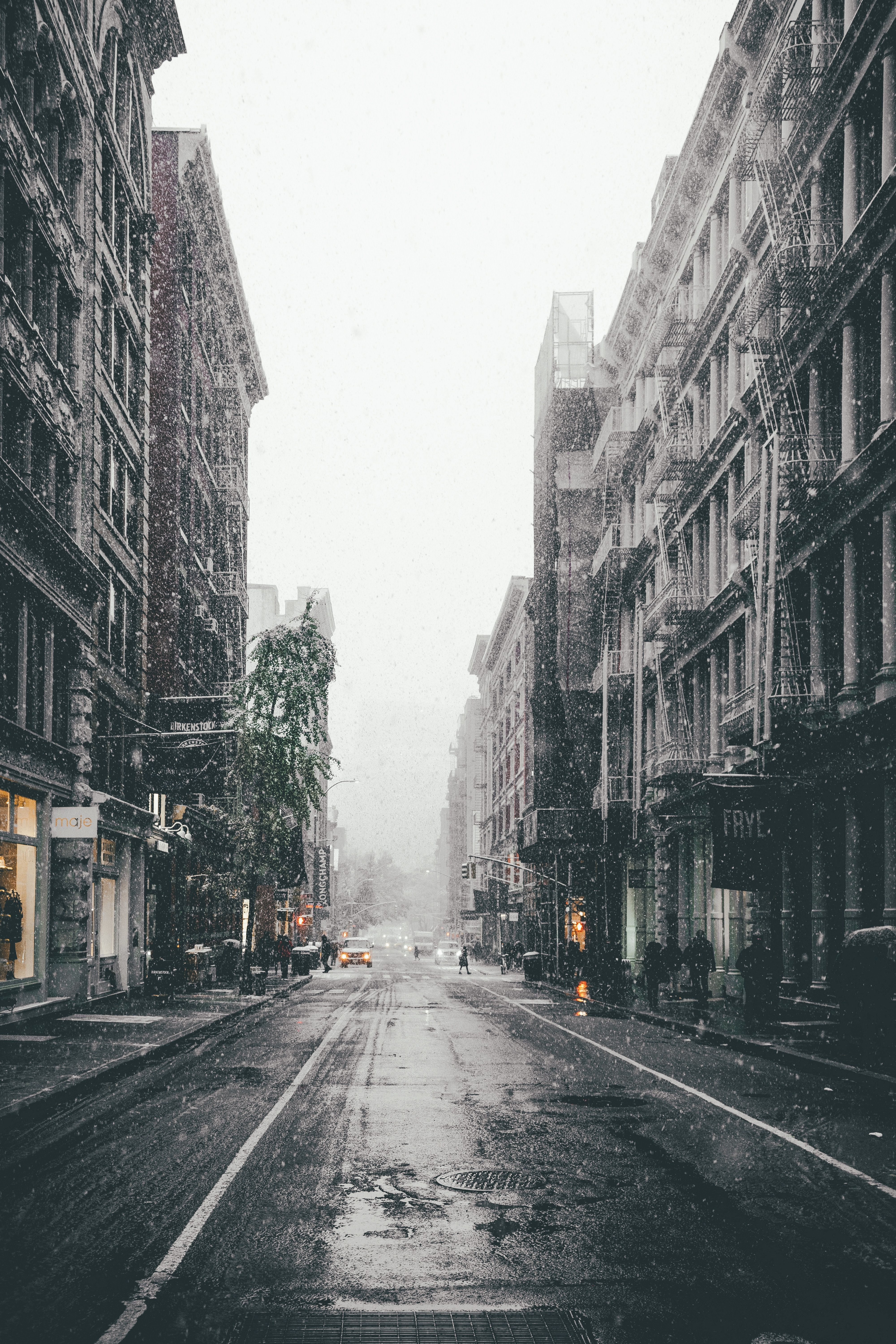 snowfall, street, cities, winter, city, fog phone background
