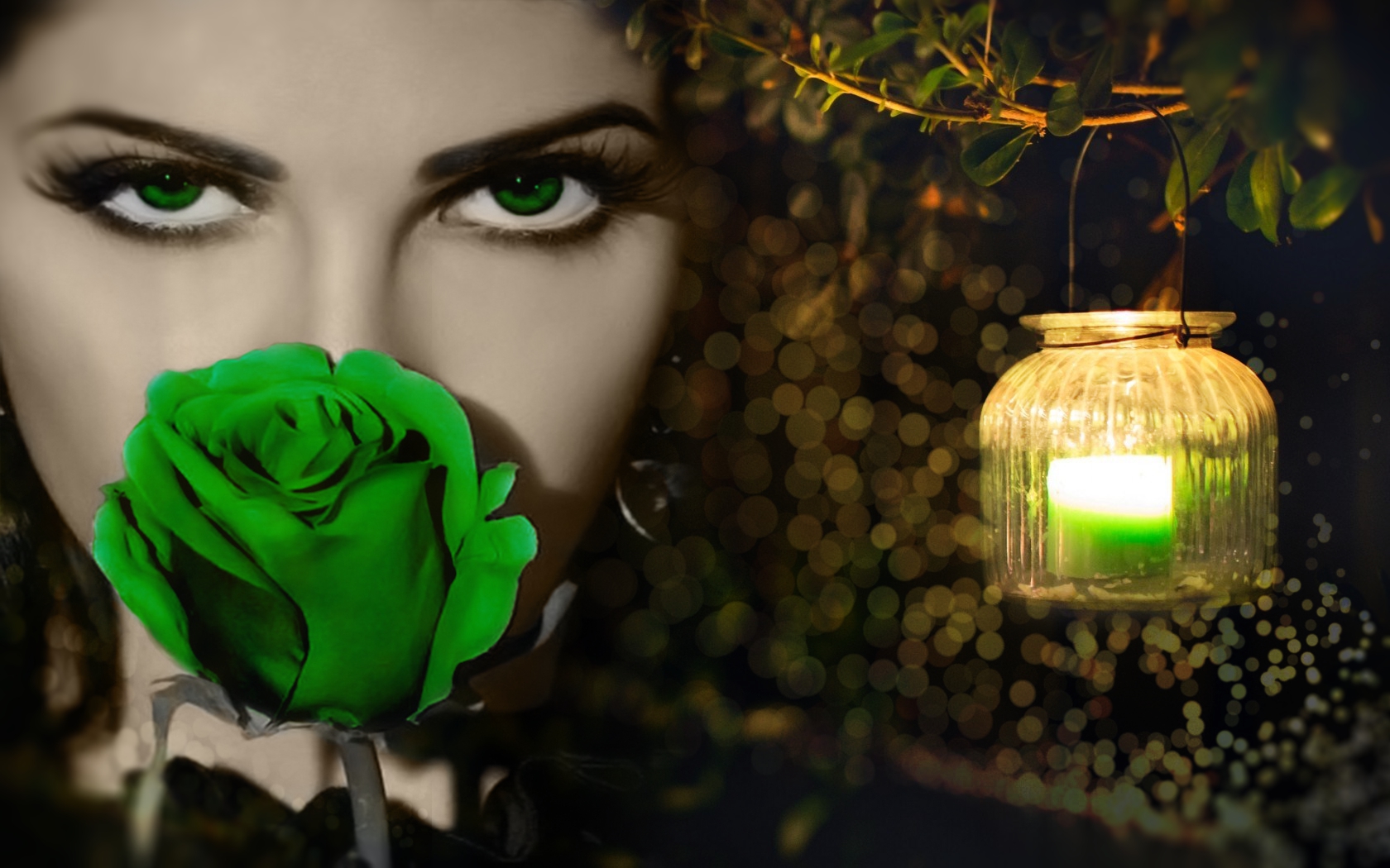 Download mobile wallpaper Fantasy, Rose, Lantern, Women, Green Eyes, Green Rose for free.