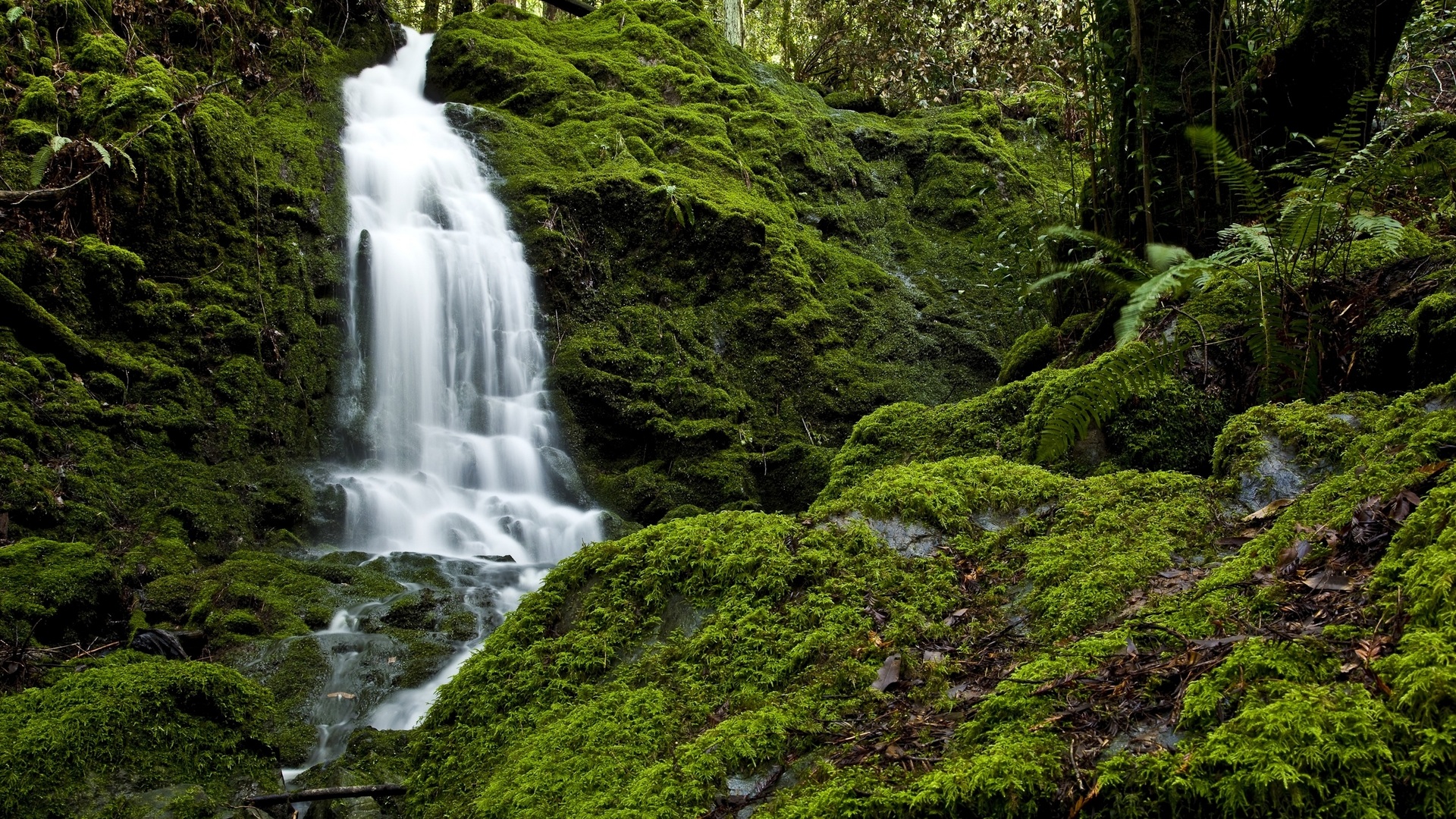 Скачать картинку Водопад, Зелень, Мох, Земля/природа в телефон бесплатно.
