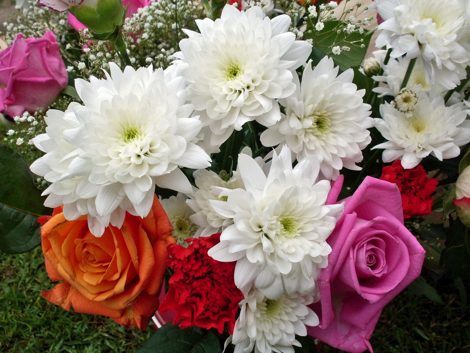 52897 скачать картинку гипсофил, хризантемы, цветы, букет, розы, гвоздика - обои и заставки бесплатно