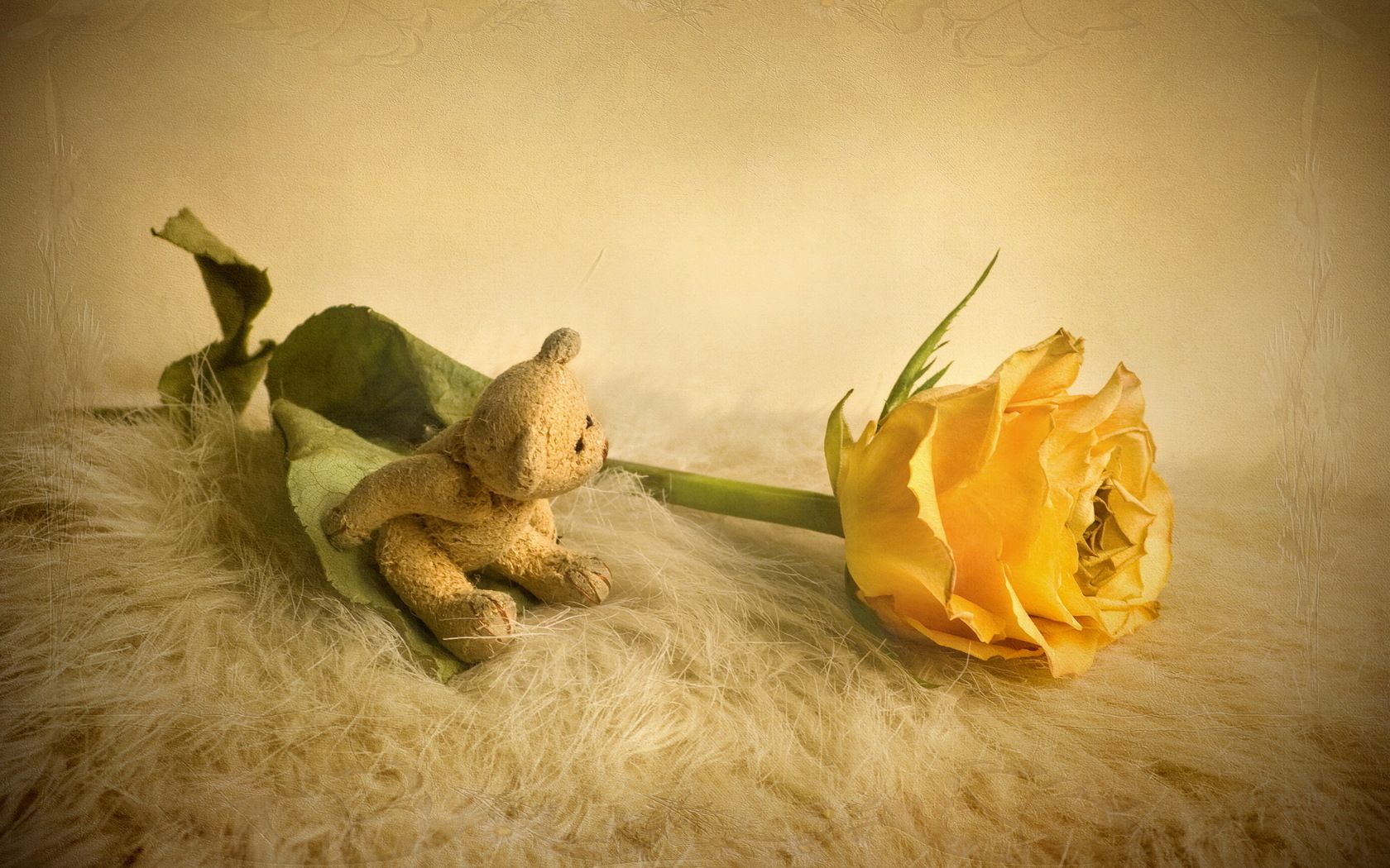 Free download wallpaper Plants, Flowers, Roses, Toys, Still Life on your PC desktop