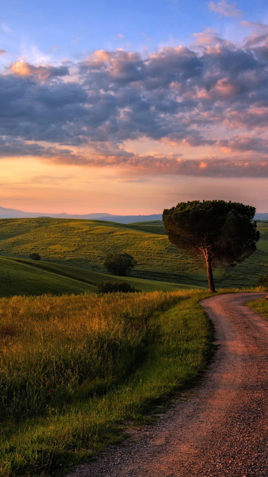 Download mobile wallpaper Landscape, Grass, Italy, Road, Tree, Hill, Cloud, Photography, Tuscany for free.