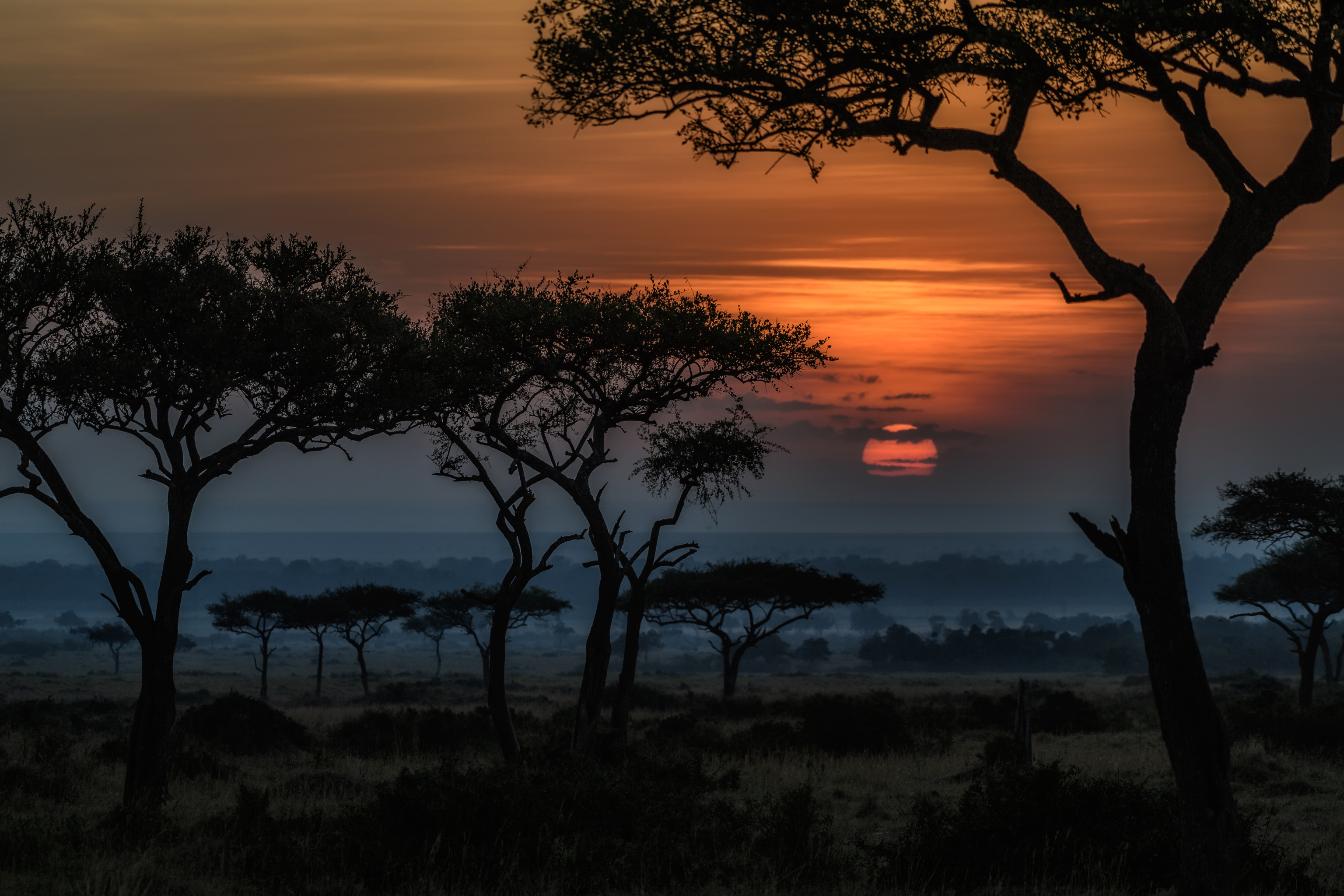 Скачать картинку Пейзаж, Саванна, Рассвет, Восход, Ландшафт, Африка, Земля/природа, Кения в телефон бесплатно.