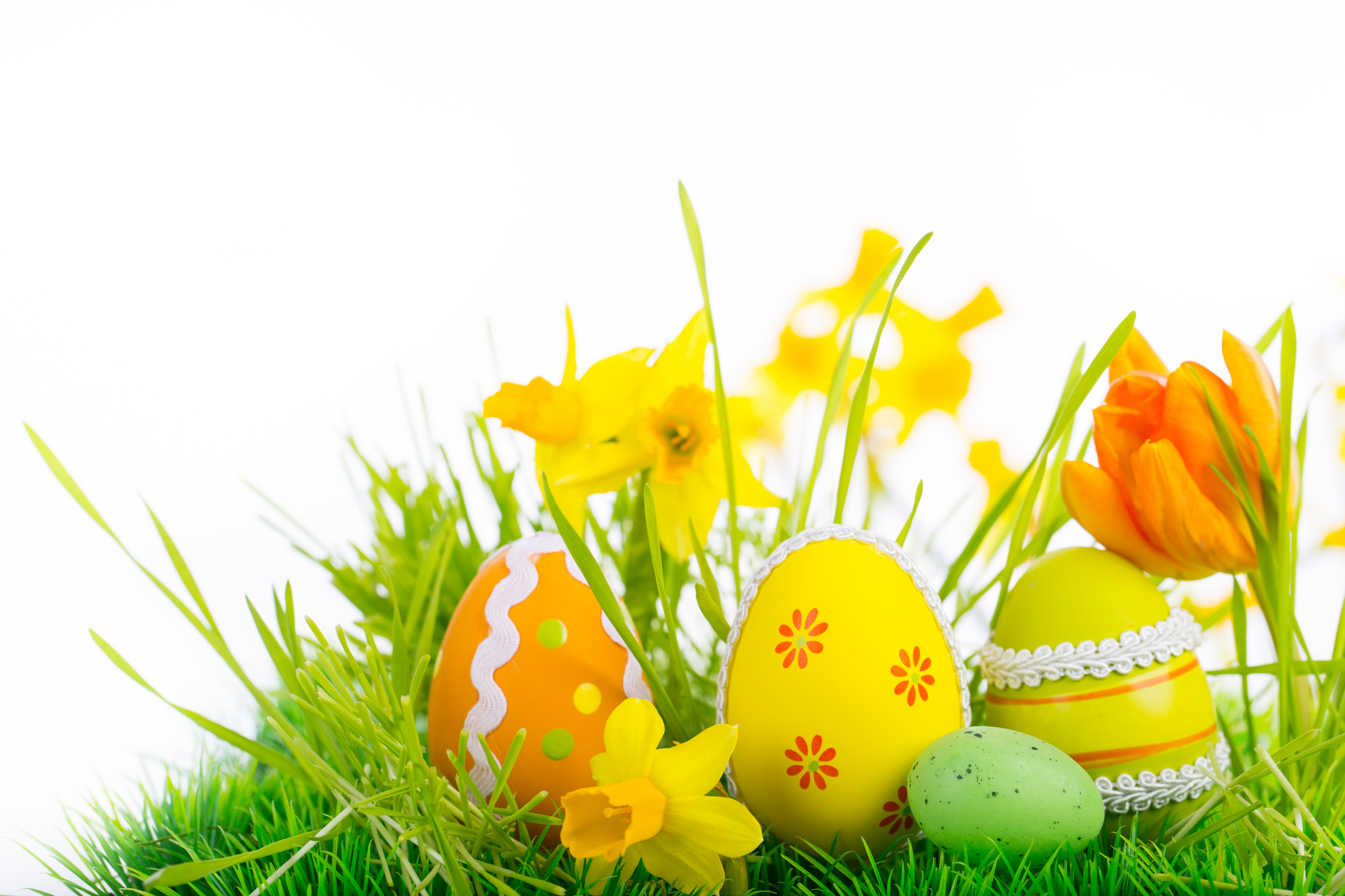 Download mobile wallpaper Grass, Easter, Holiday, Egg, Yellow Flower, Orange (Color), Daffodil, Easter Egg for free.