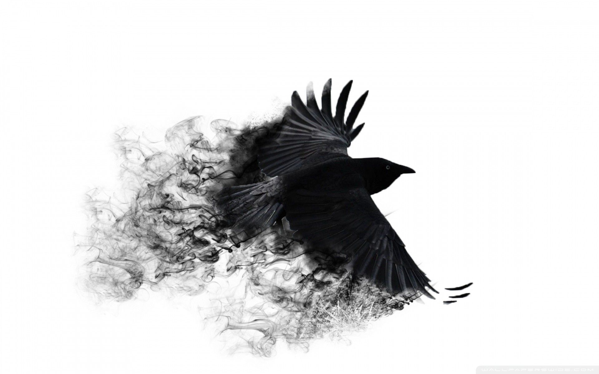 111166 скачать картинку абстракция, ворона, птица, крылья, взмах - обои и заставки бесплатно