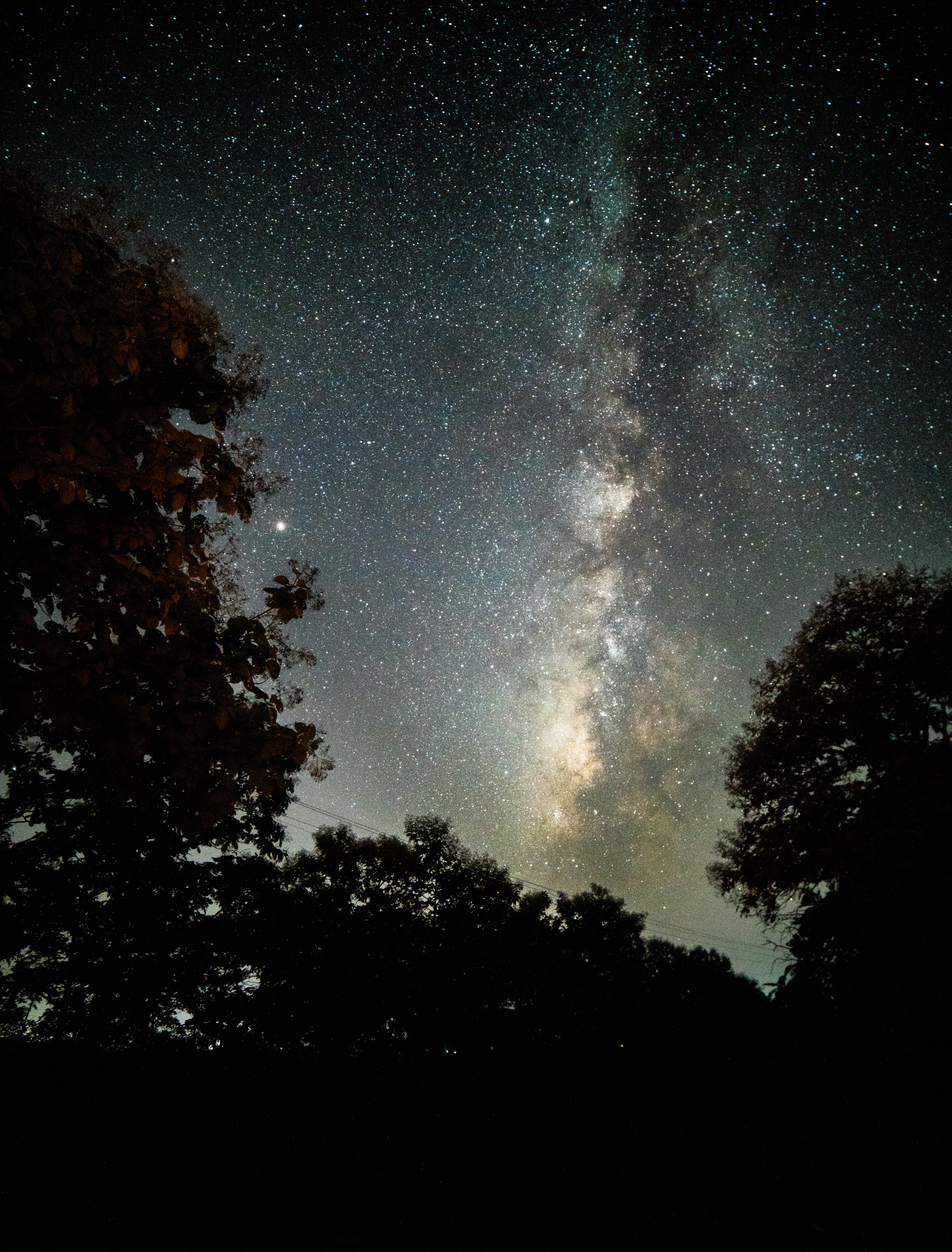 Descarga gratuita de fondo de pantalla para móvil de Naturaleza, Árboles, Oscuro, Noche, Cielo Estrellado.