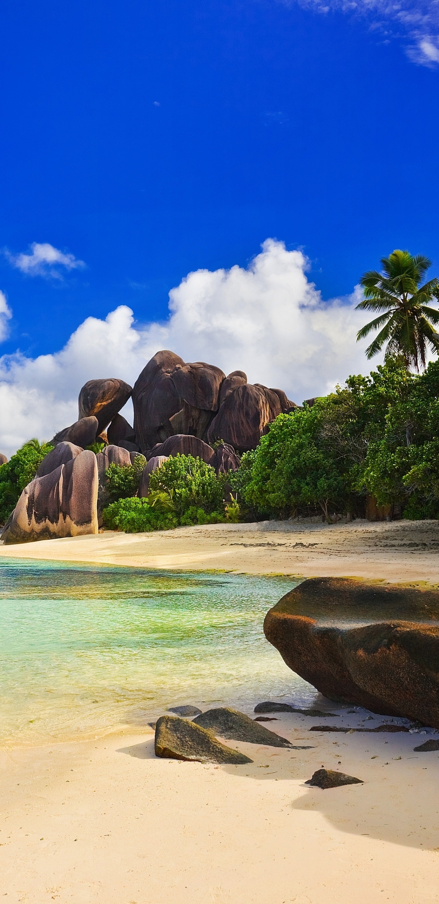 Download mobile wallpaper Beach, Sand, Earth, Tropics, Tropical, Seychelles, Seashore for free.