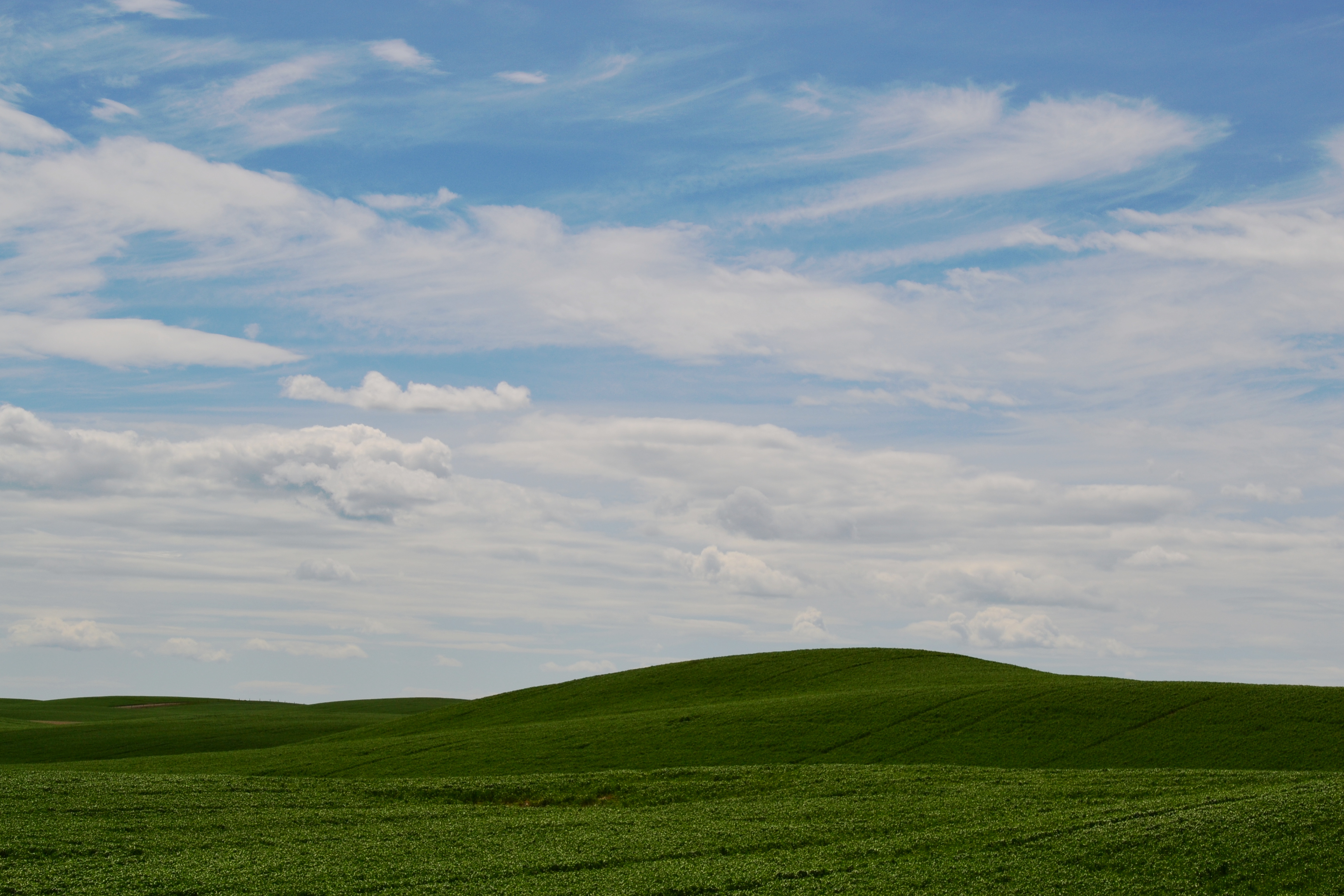 Download mobile wallpaper Landscape, Nature, Sky, Earth, Field, Cloud for free.