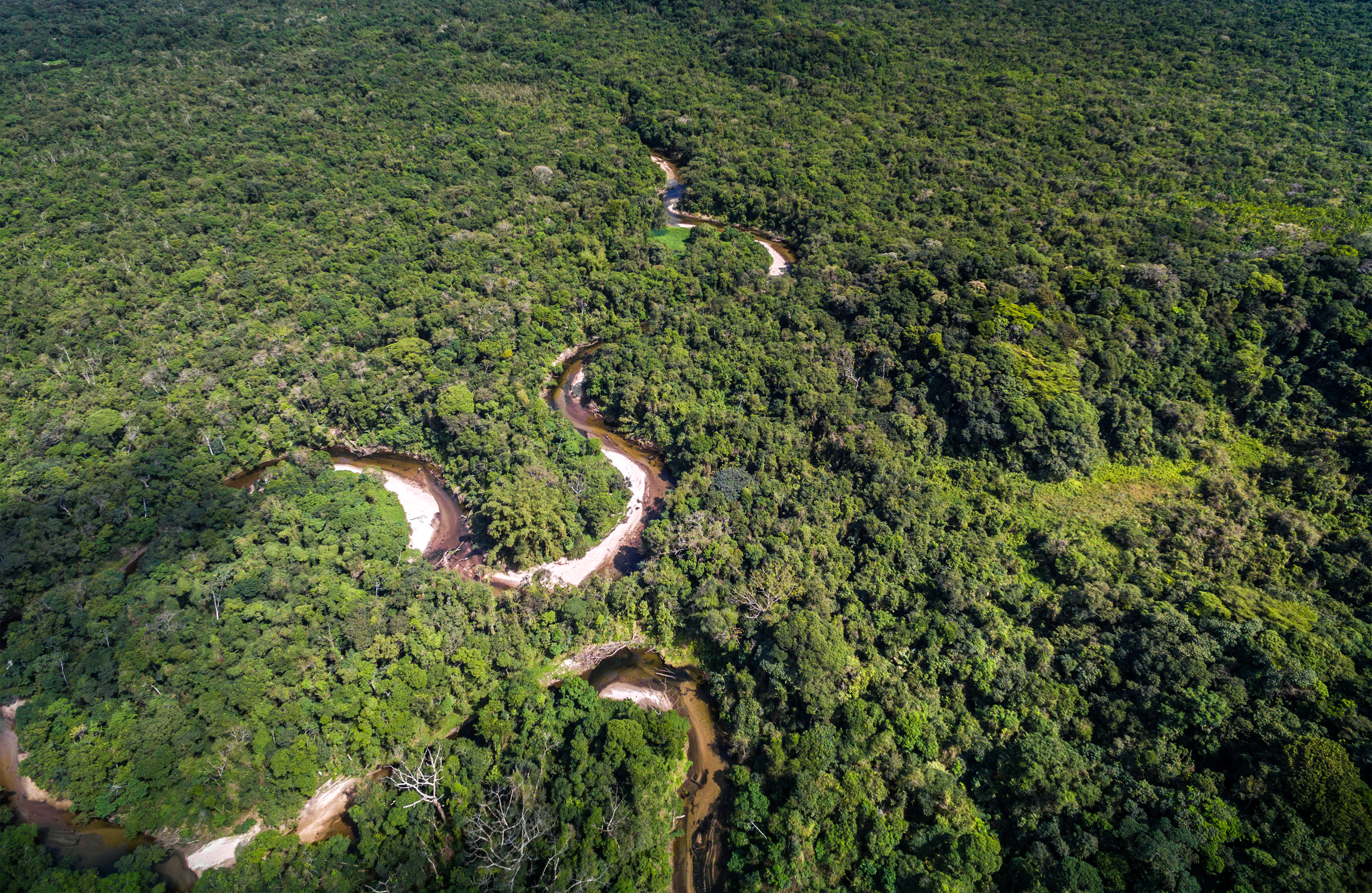 Laden Sie das Landschaft, Natur, Wald, Fluss, Brasilien, Erde/natur, Luftbildfotografie-Bild kostenlos auf Ihren PC-Desktop herunter