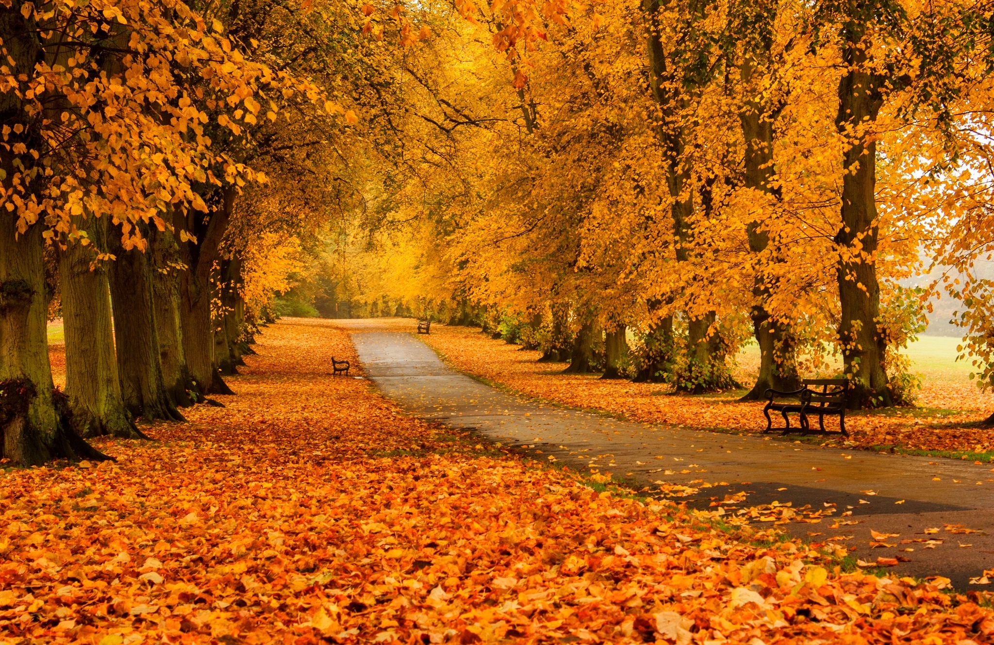 Download mobile wallpaper Road, Park, Fall, Bench, Photography for free.