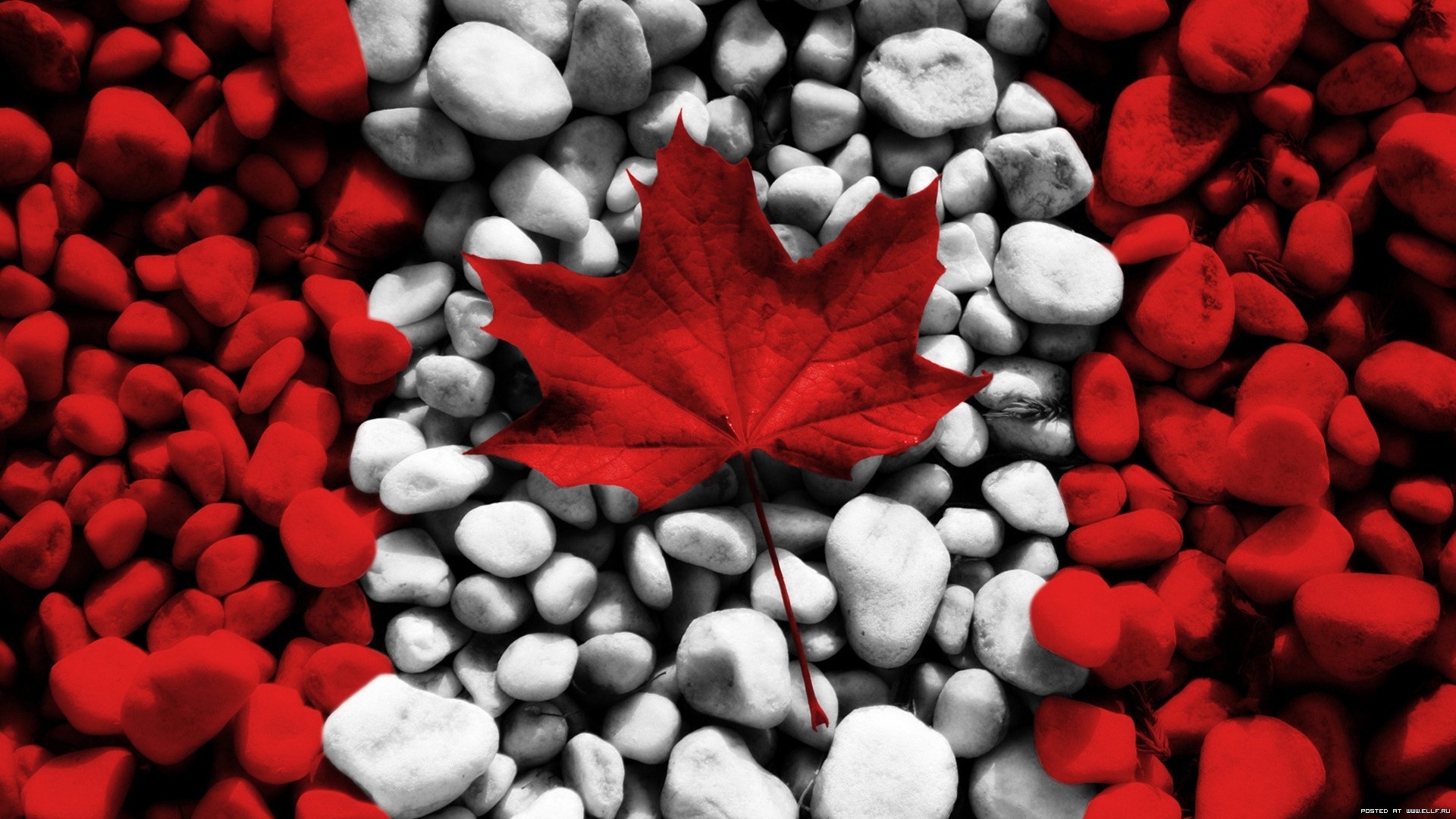 Download mobile wallpaper Stones, Leaves, Background, Flags for free.