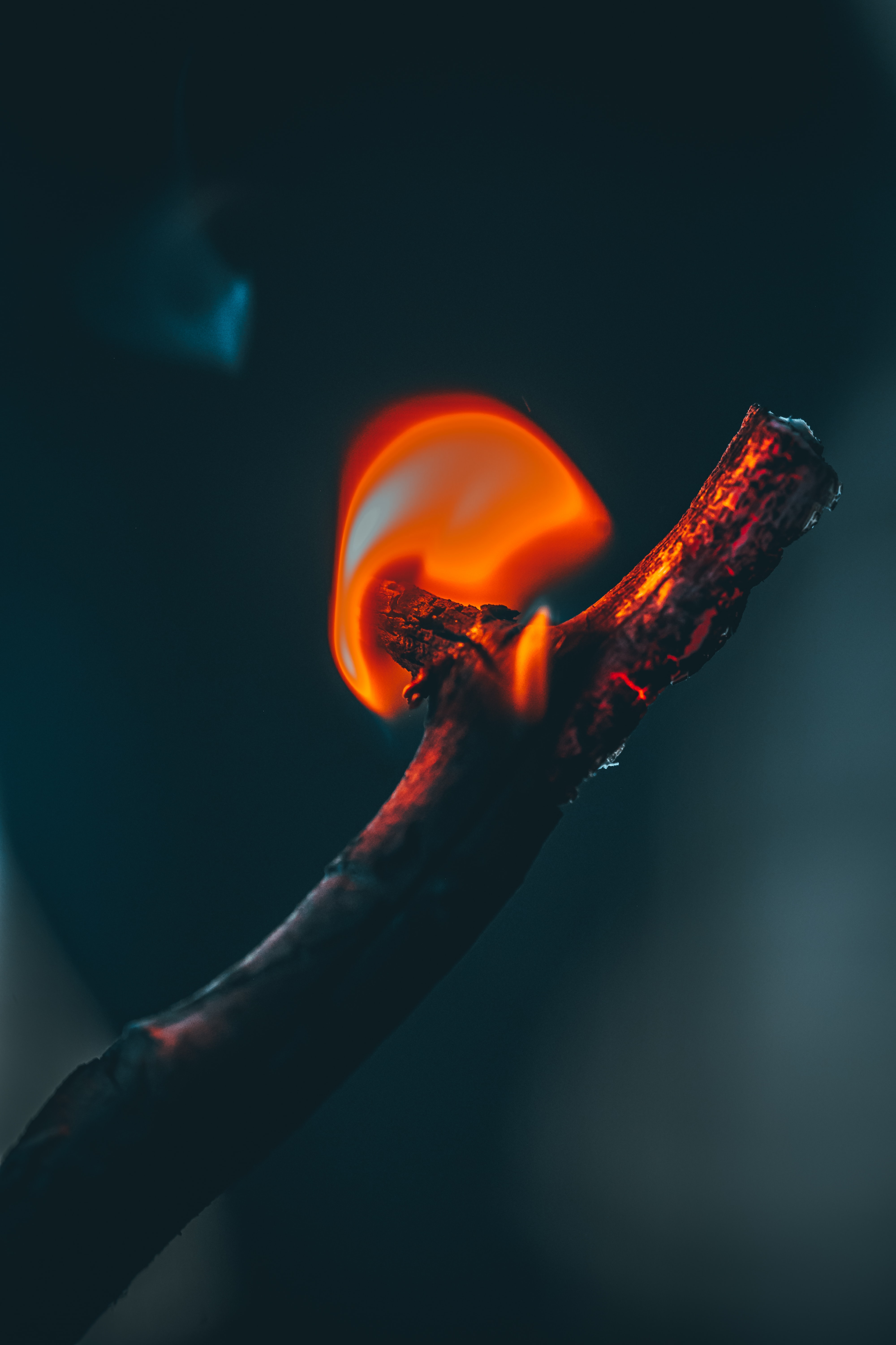 Download mobile wallpaper Branch, Flame, Fire, Dark for free.