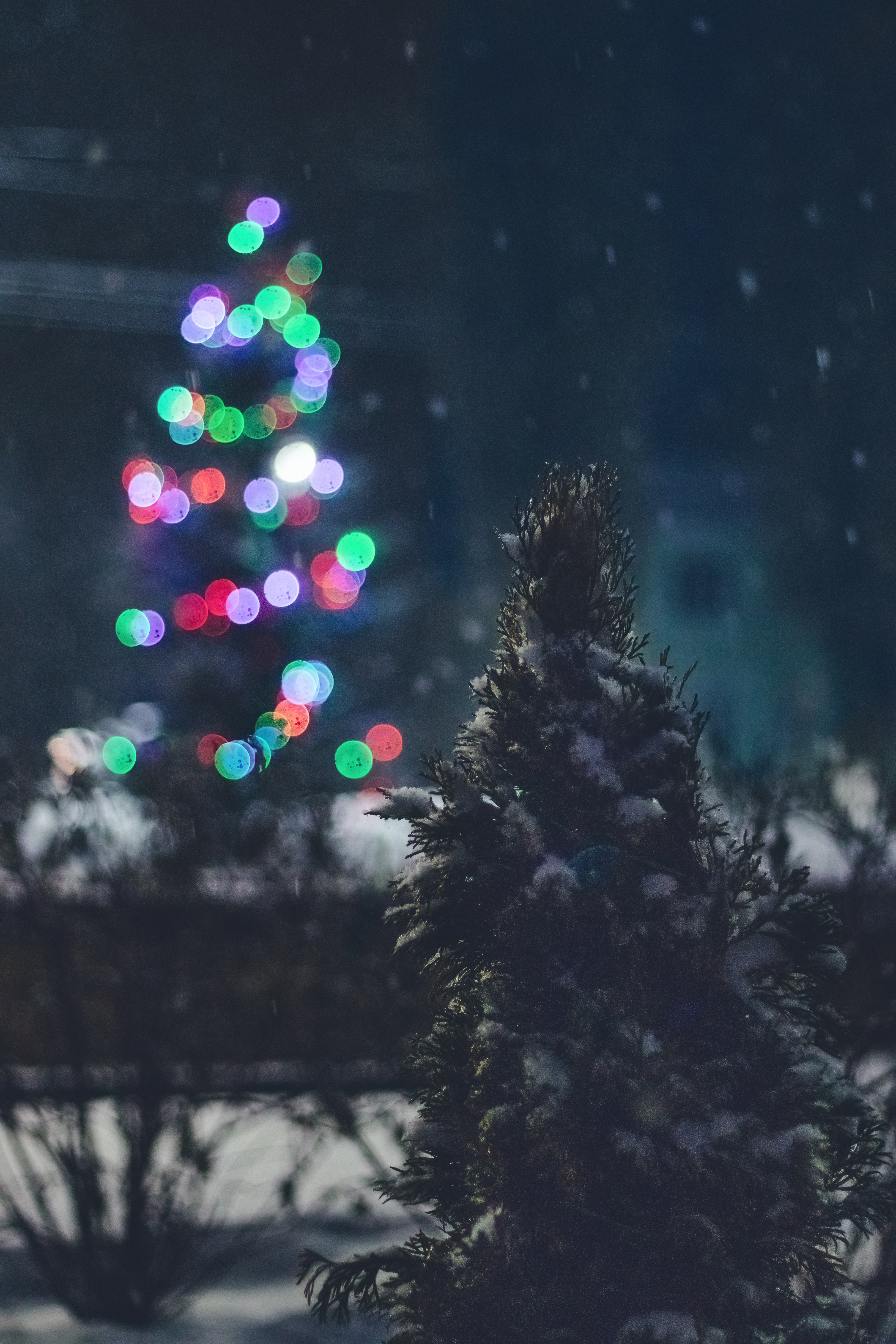 Laden Sie das Die Lichter, Lichter, Übernachtung, Blendung, Weihnachtsbaum, Schnee, Feiertage-Bild kostenlos auf Ihren PC-Desktop herunter