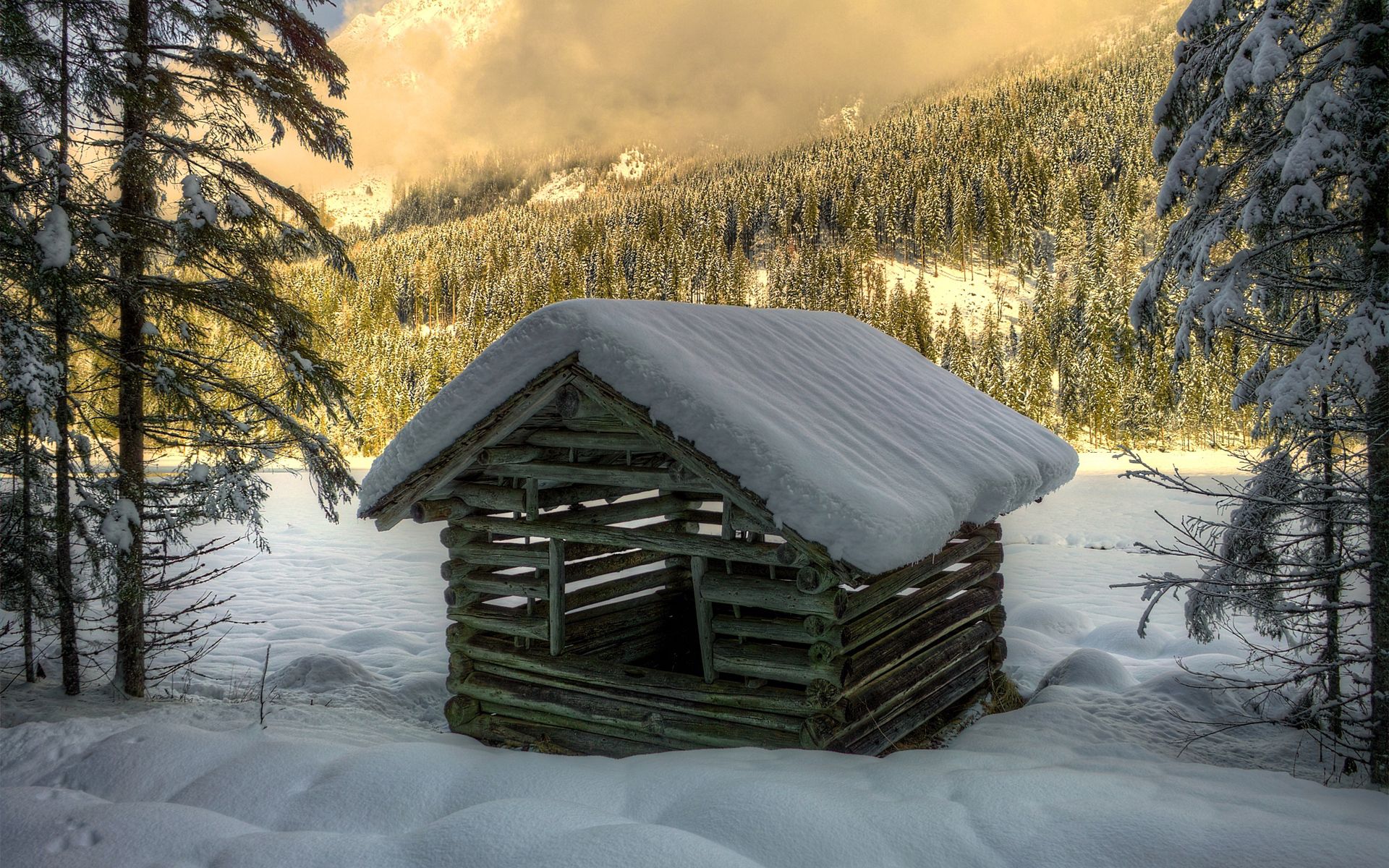 118365 скачать обои снег, домик, зима, природа, деревья, лес, ель, постройка, бревна - заставки и картинки бесплатно