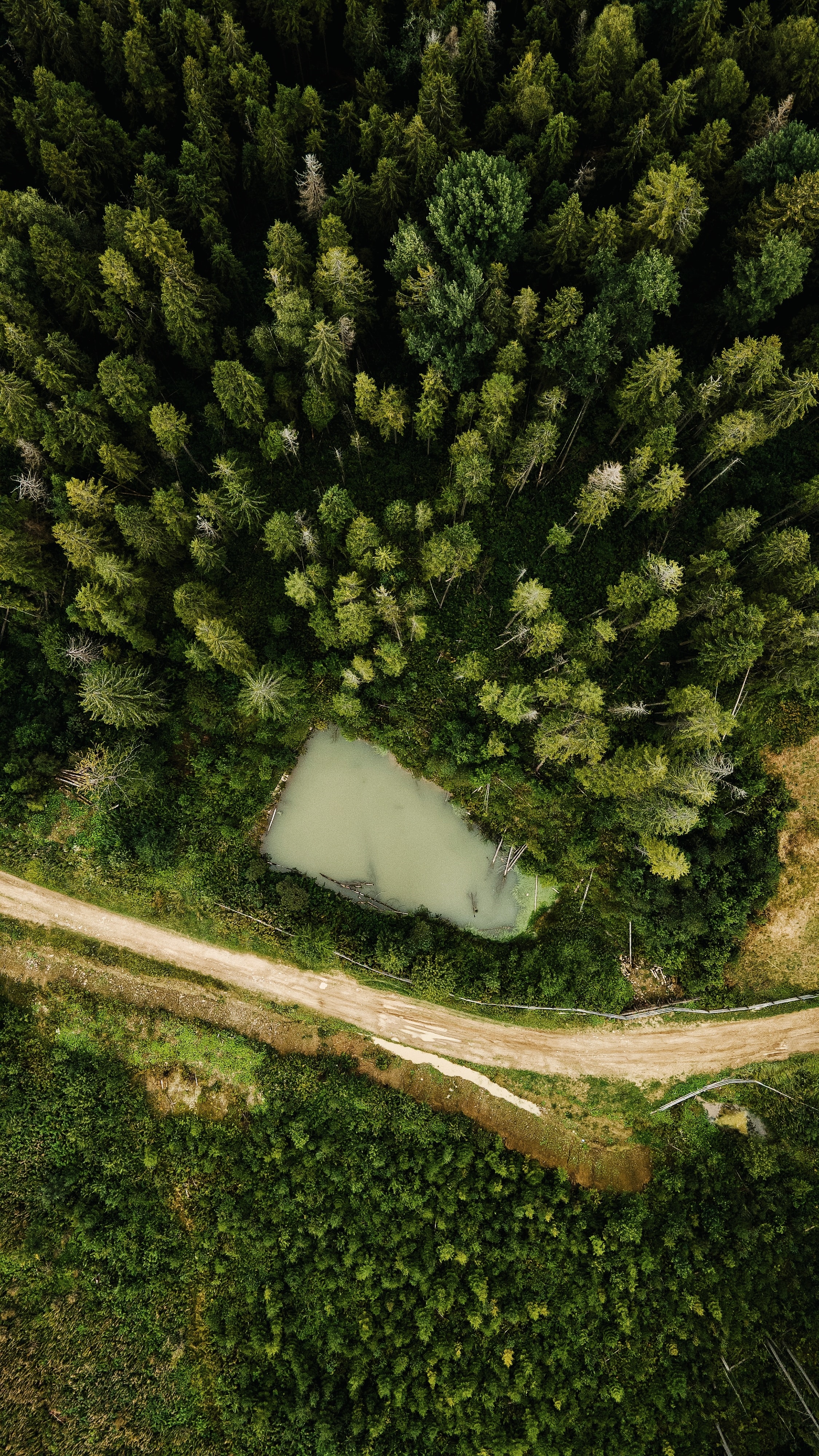 Download mobile wallpaper Road, View From Above, Trees, Nature, Forest for free.