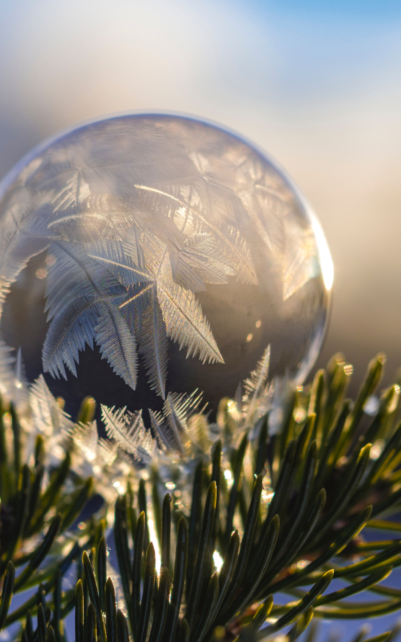 Download mobile wallpaper Winter, Nature, Close Up, Earth, Frost, Bubble for free.