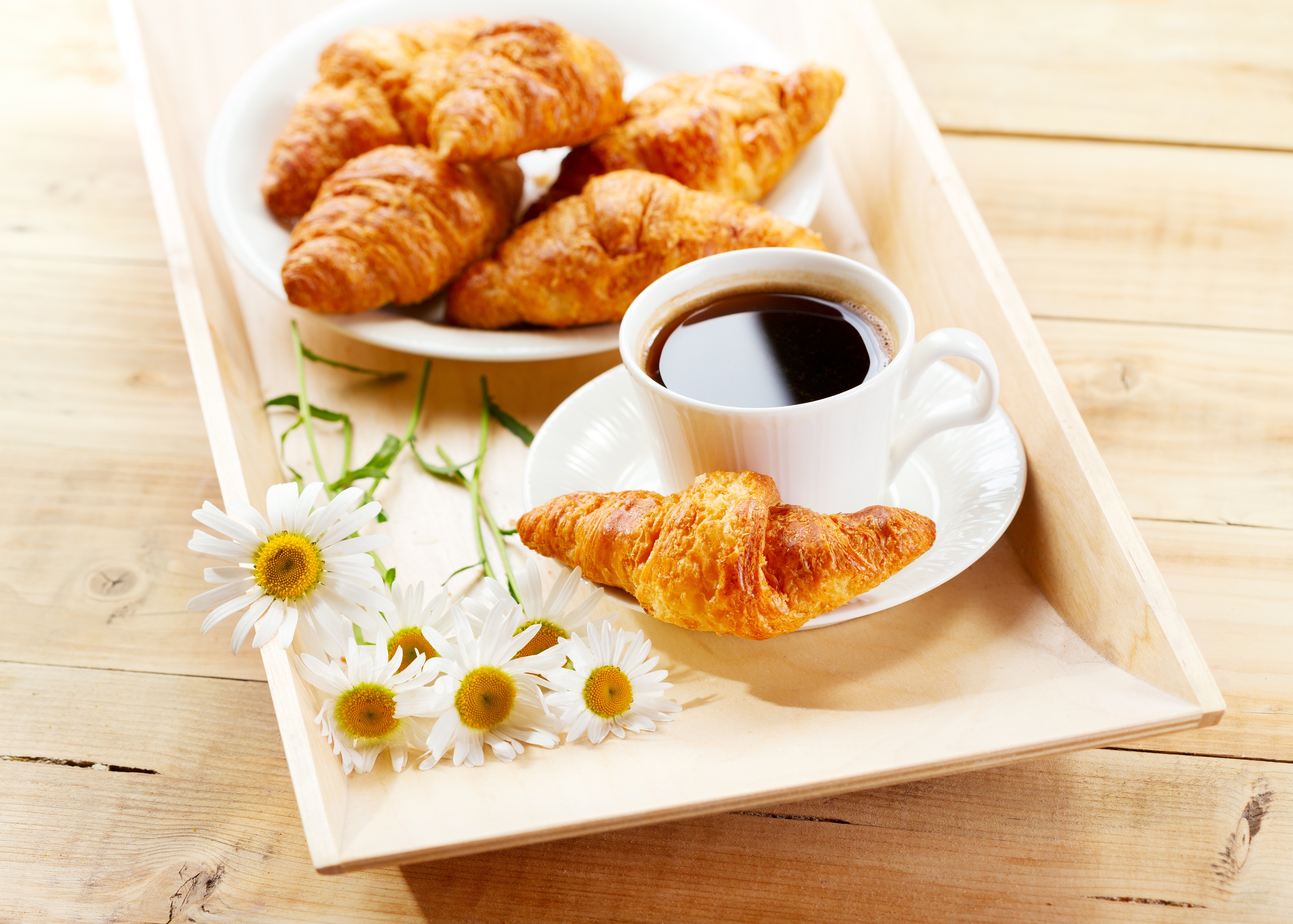 Download mobile wallpaper Food, Coffee, Daisy, Breakfast, Croissant, Pastry for free.