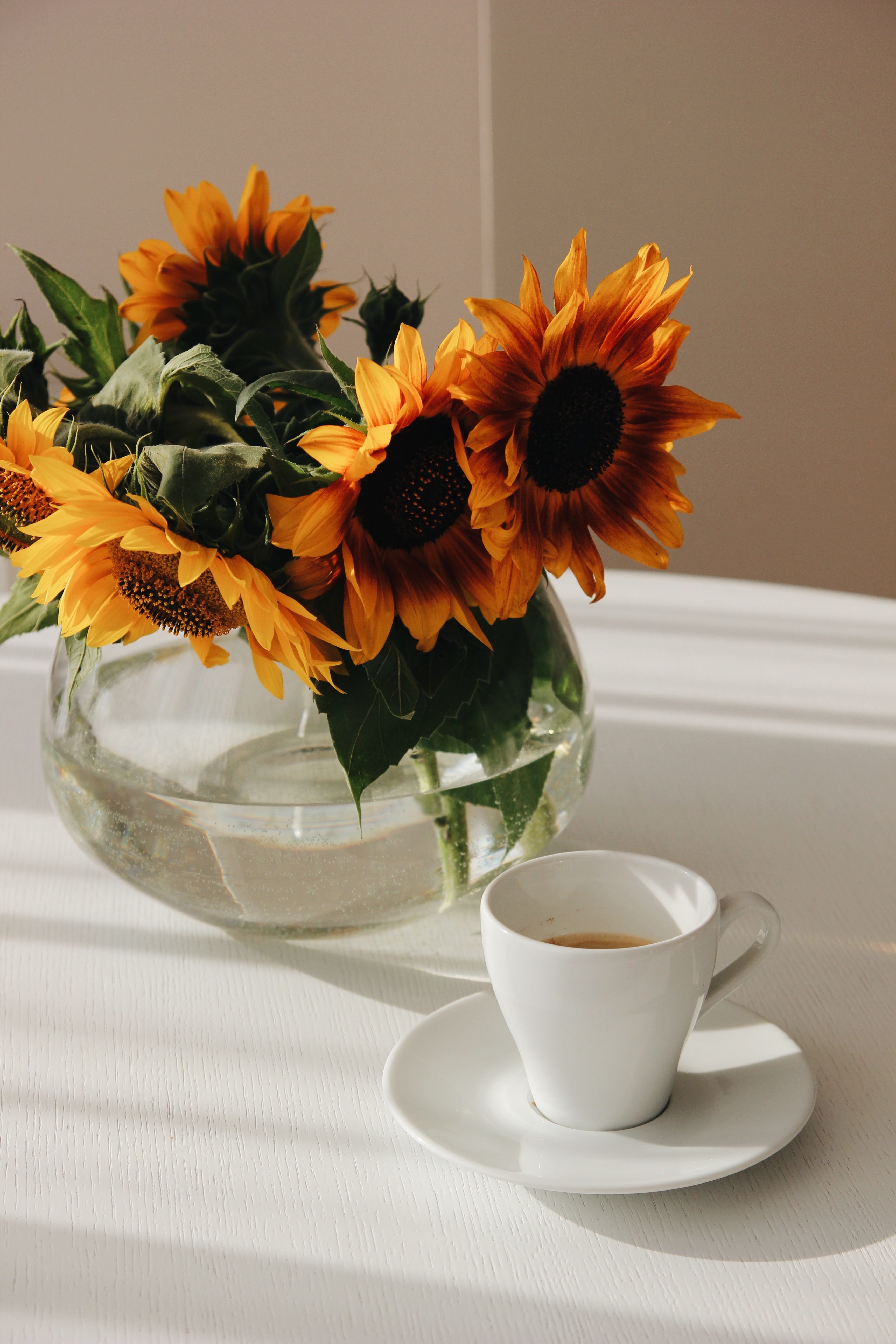 wallpapers sunflowers, cup, flowers, bouquet, table, vase