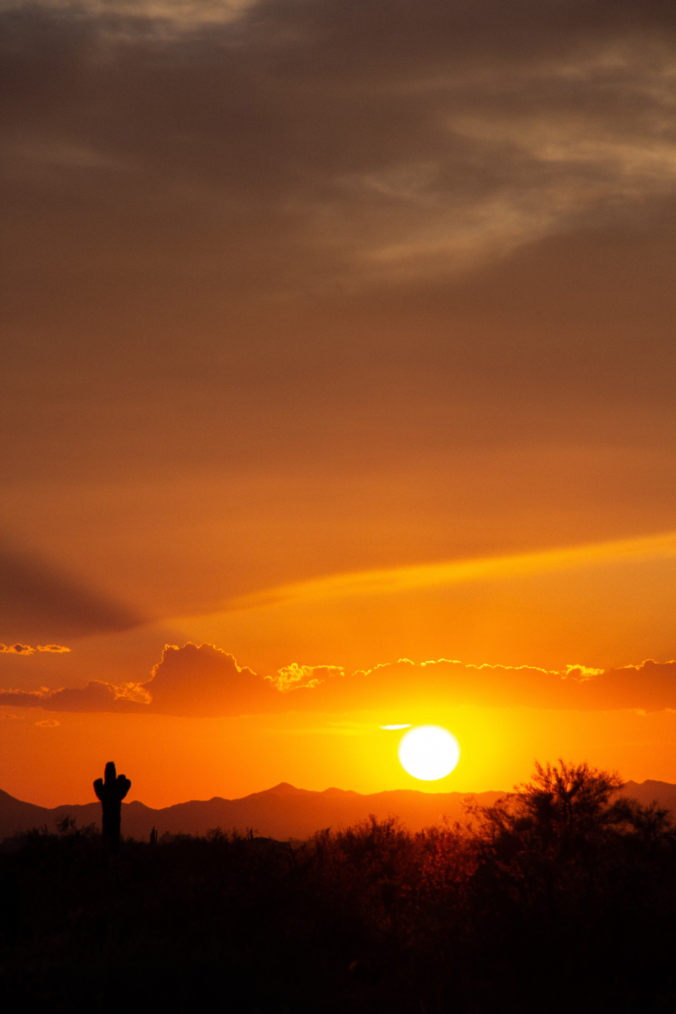 valley, sunset, nature, sun, prairie, cactus