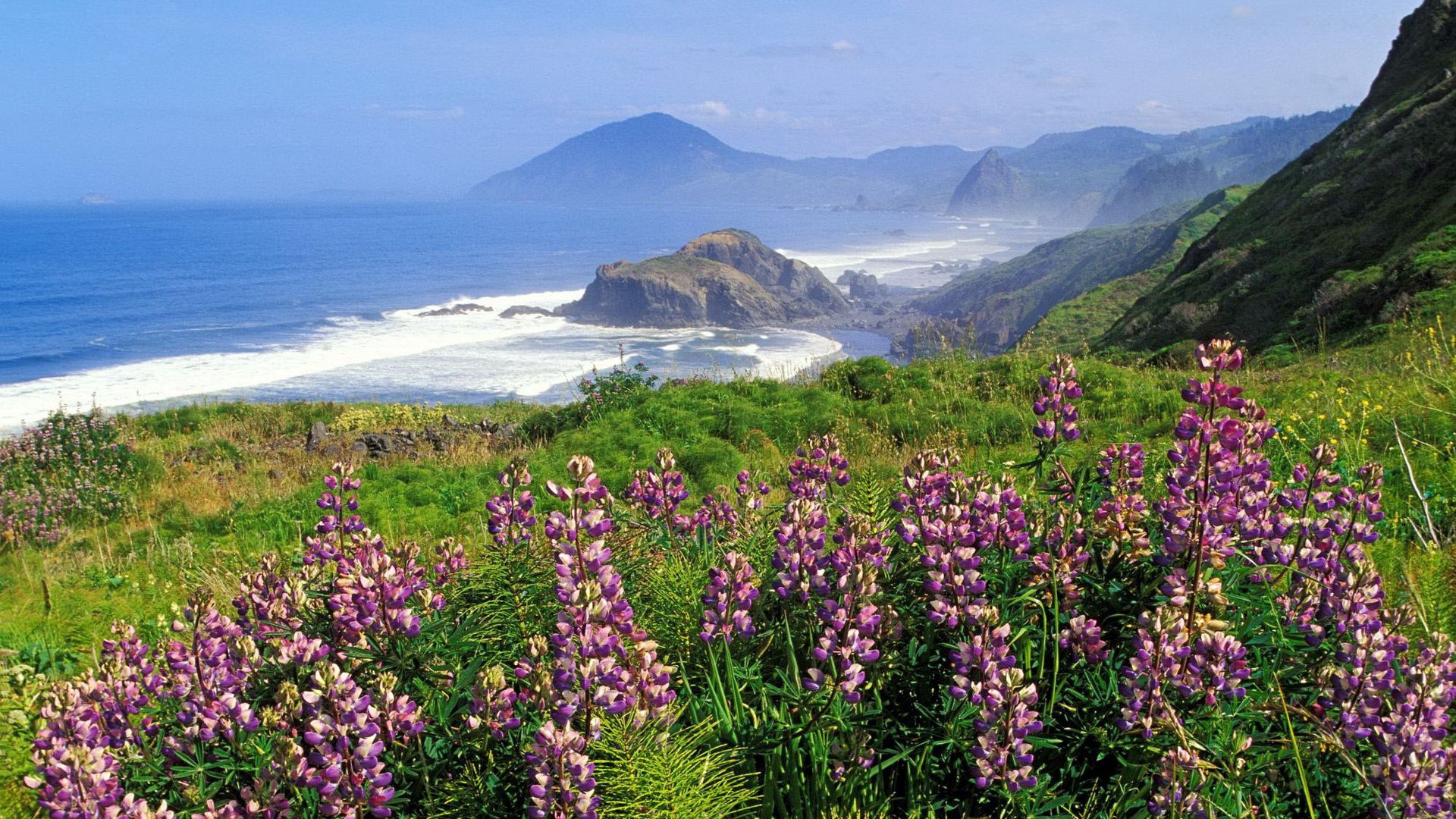 Free download wallpaper Nature, Flowers, Mountains, Sea, Shore, Bank, Greens, Waves on your PC desktop