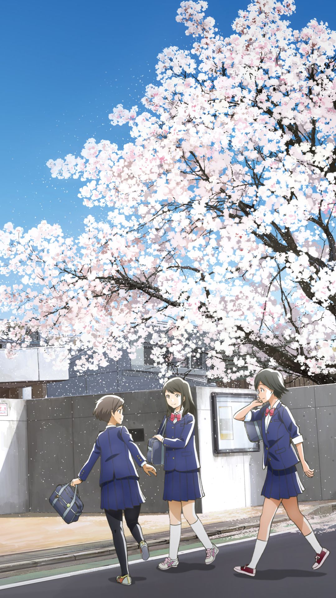 Download mobile wallpaper Anime, Kotarō Azumi, Akane Mizuno, Tsuki Ga Kirei for free.