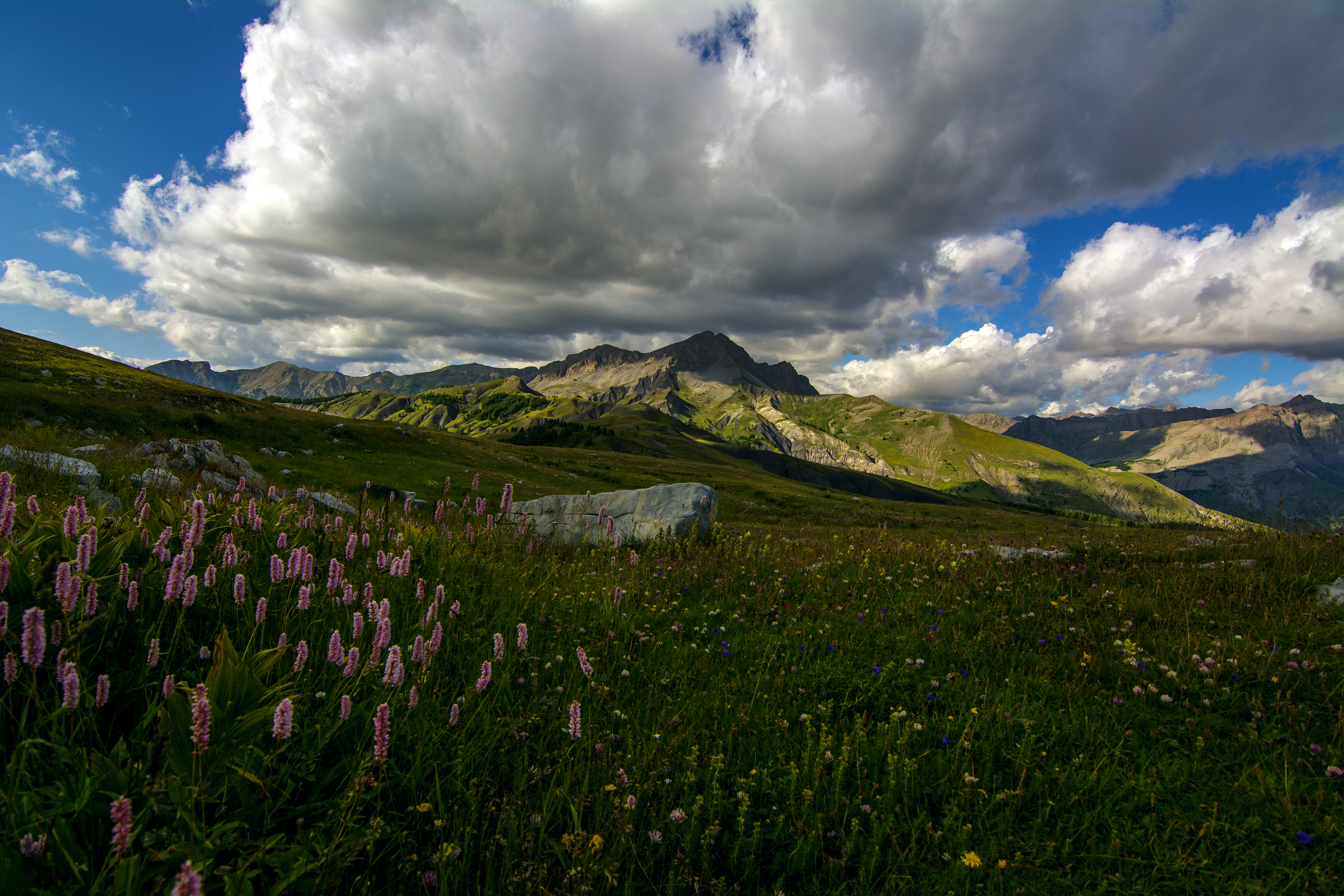 Free download wallpaper Landscape, Nature, Mountain, Earth, Cloud, Wildflower on your PC desktop