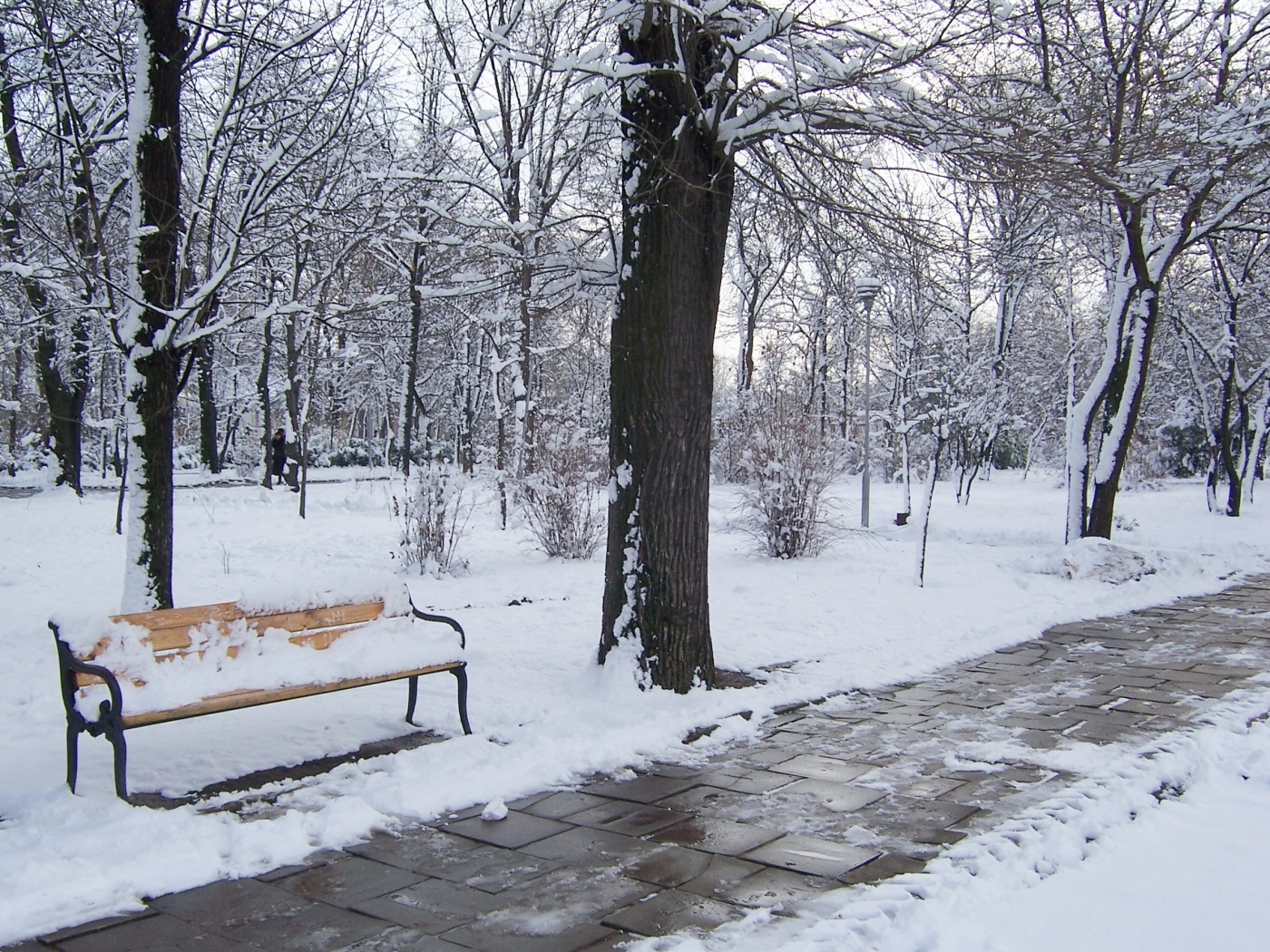 Скачать обои бесплатно Снег, Зима, Пейзаж картинка на рабочий стол ПК