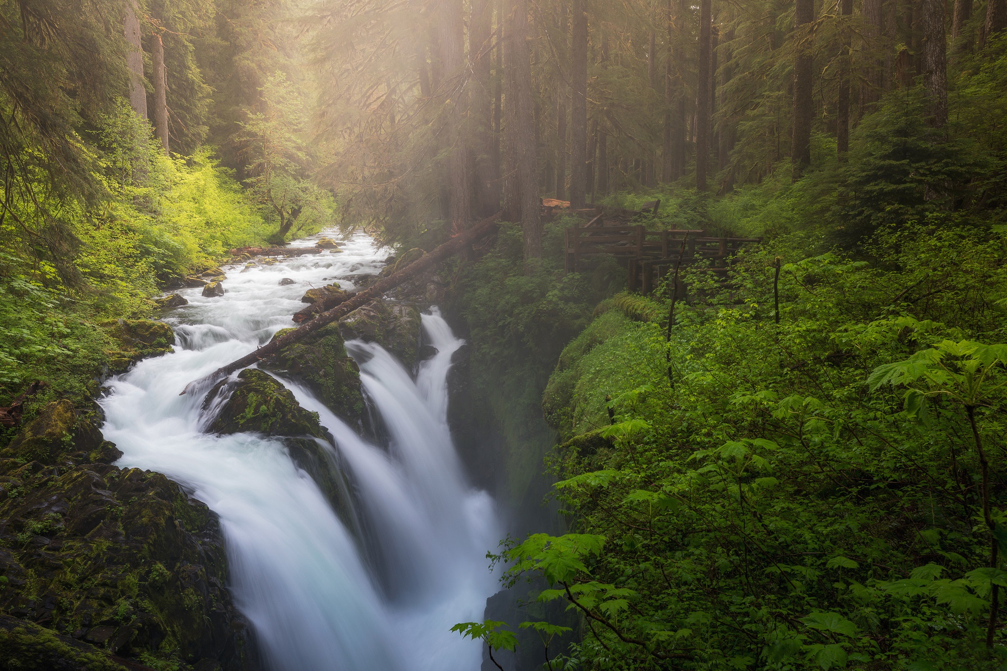 Laden Sie das Natur, Wasserfälle, Wasserfall, Wald, Baum, Fluss, Schaum, Erde/natur-Bild kostenlos auf Ihren PC-Desktop herunter