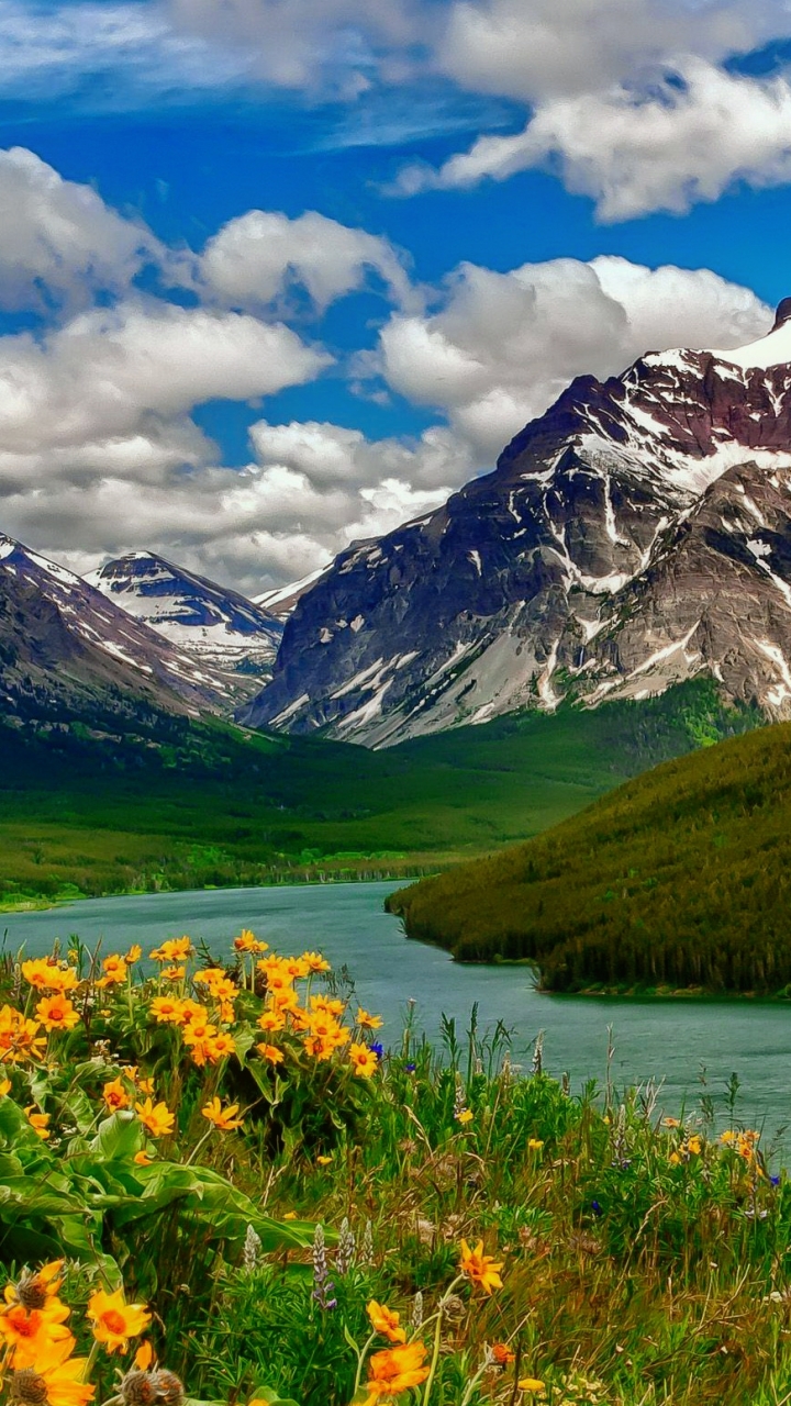 Download mobile wallpaper Landscape, Mountain, Lake, Flower, Earth, Cloud, Yellow Flower for free.