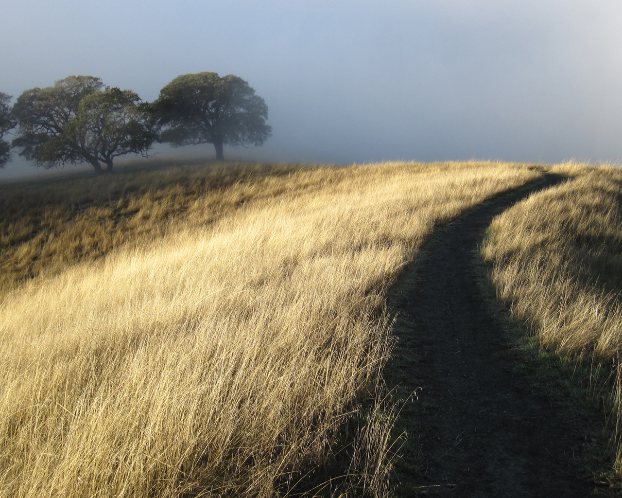 Free download wallpaper Fog, Earth on your PC desktop