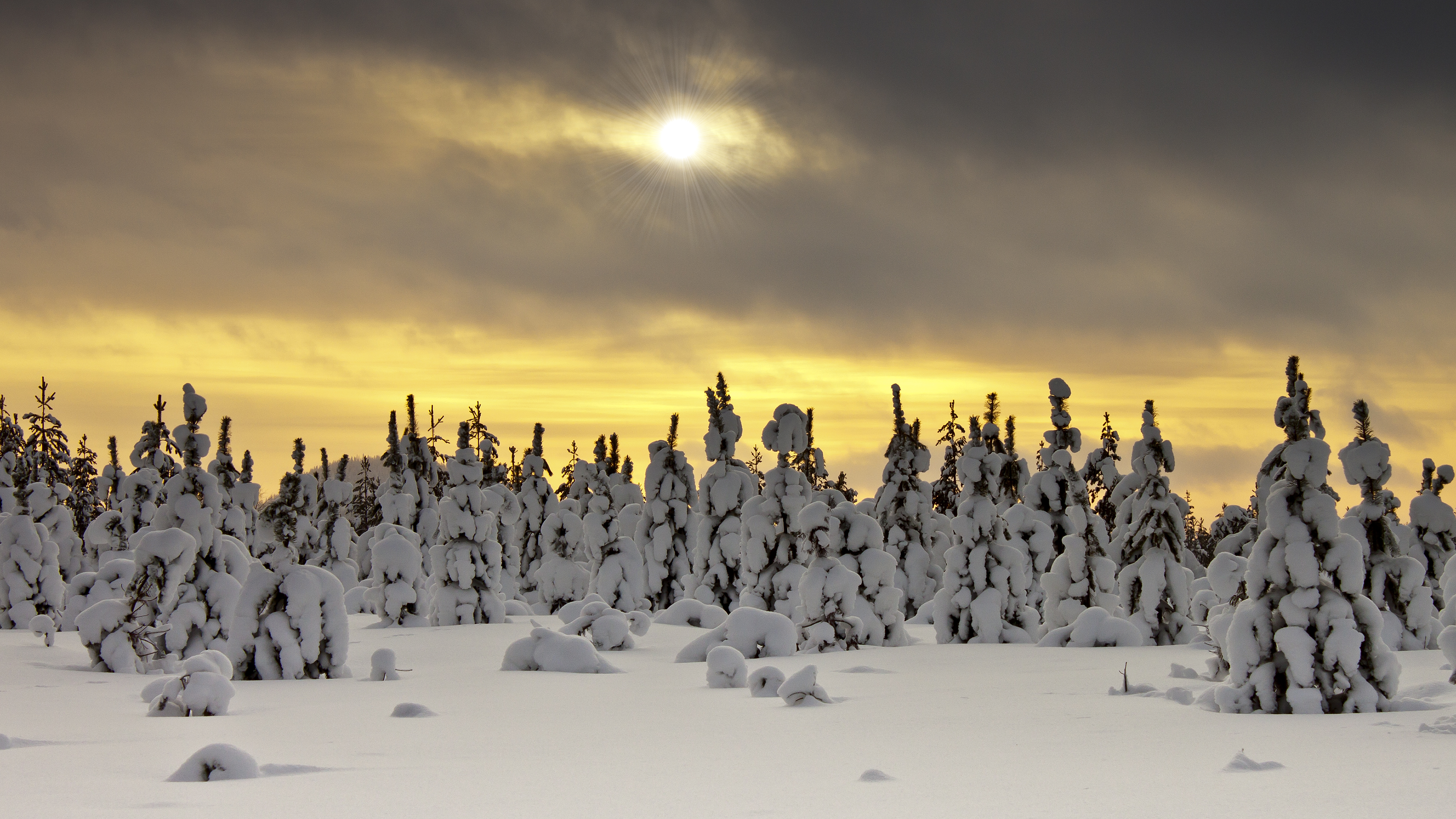 Laden Sie das Winter, Schnee, Erde/natur-Bild kostenlos auf Ihren PC-Desktop herunter