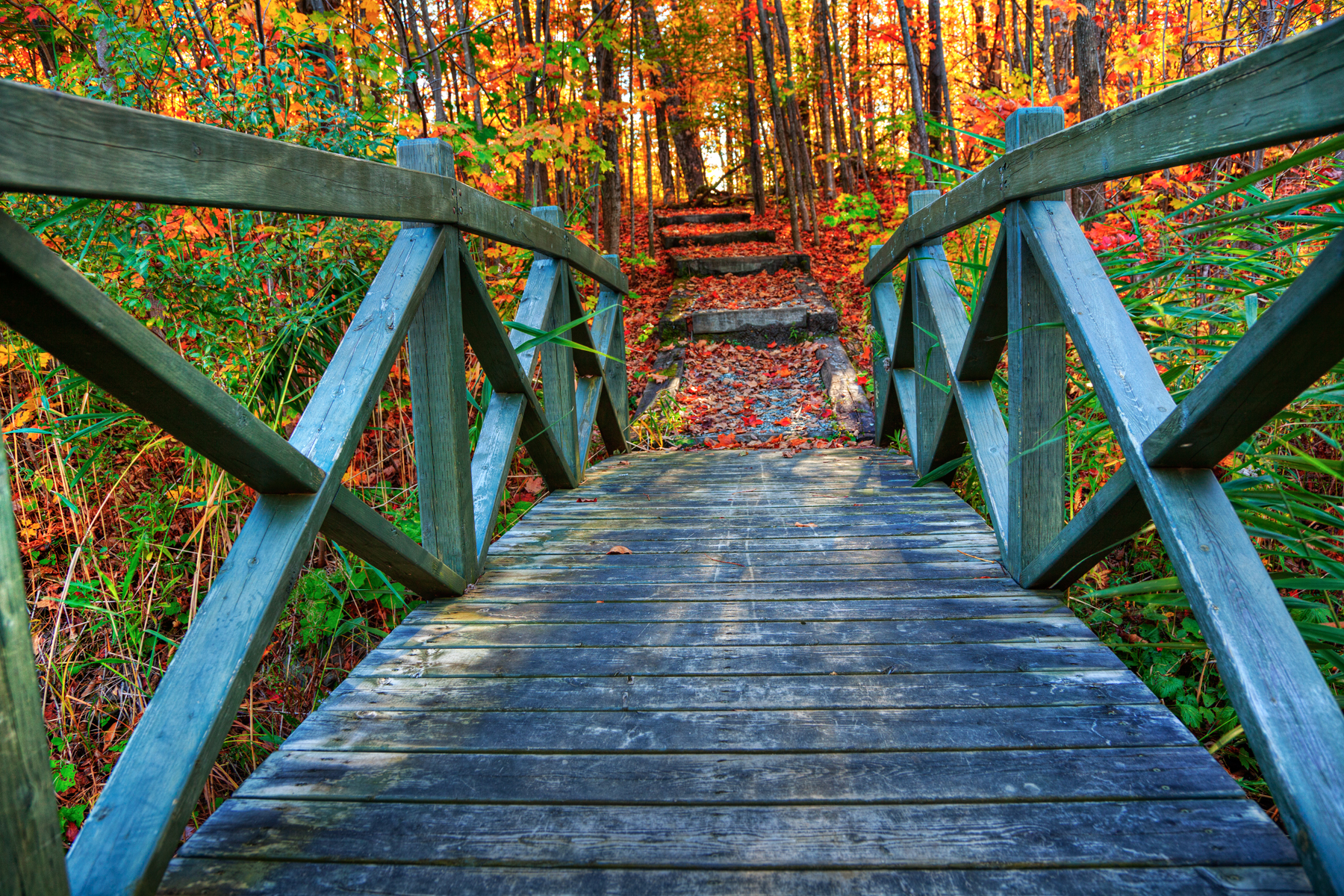 Скачать обои бесплатно Природа, Мосты, Осень, Лес, Мост, Листва, Время Года, Сделано Человеком картинка на рабочий стол ПК