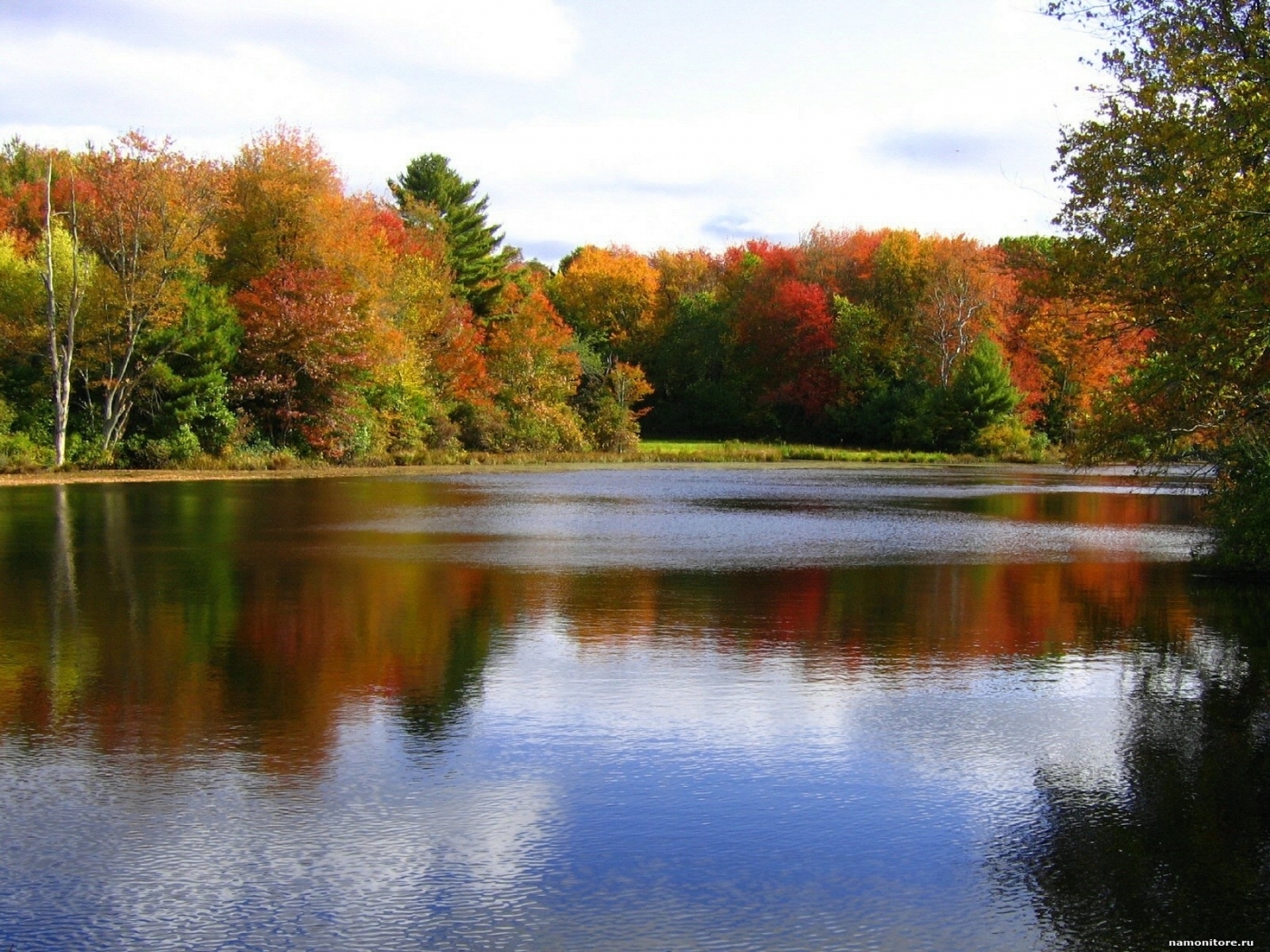 PCデスクトップに川, 木, 秋, 風景画像を無料でダウンロード