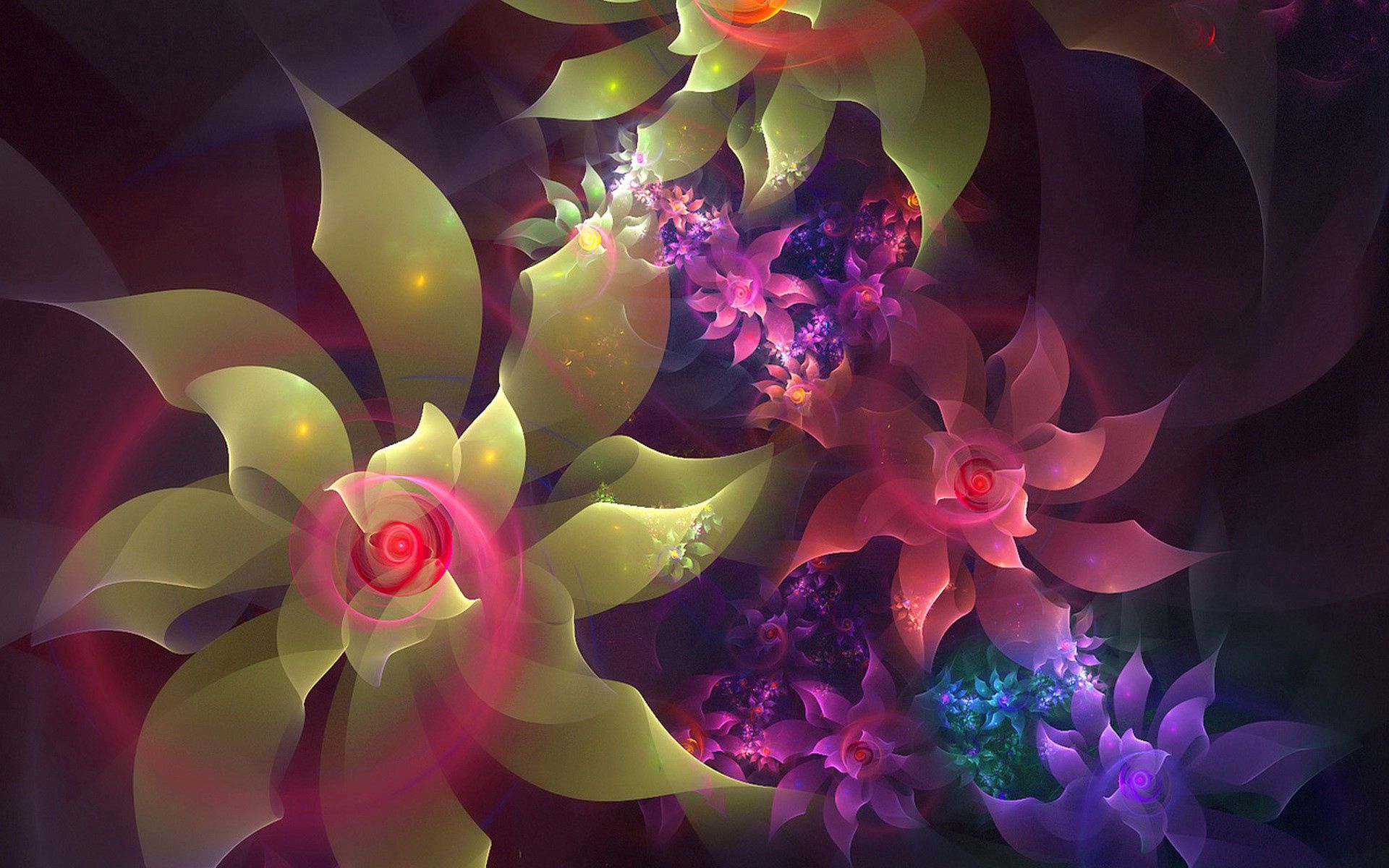 Free download wallpaper Flowers, Color, Lines, Abstract, Patterns, Fractal on your PC desktop