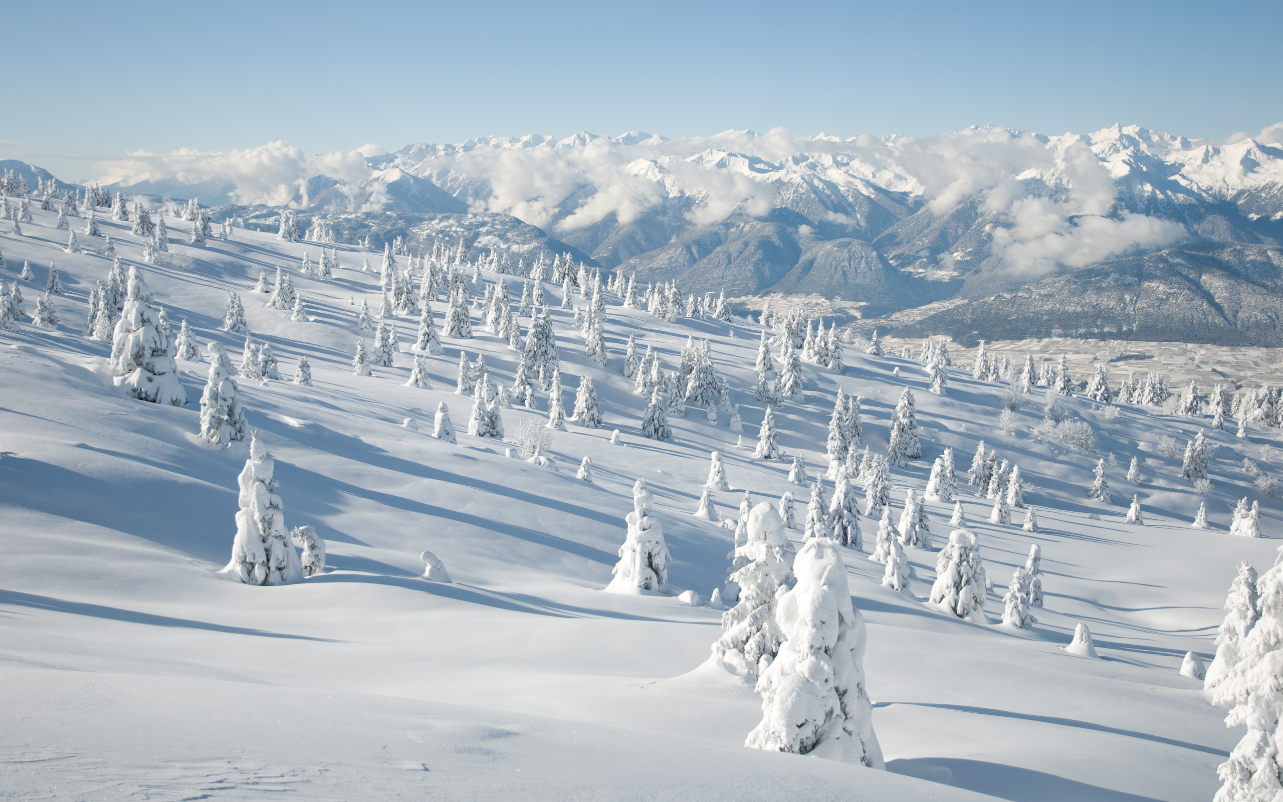 Скачать картинку Снег, Зима, Лес, Гора, Земля/природа в телефон бесплатно.