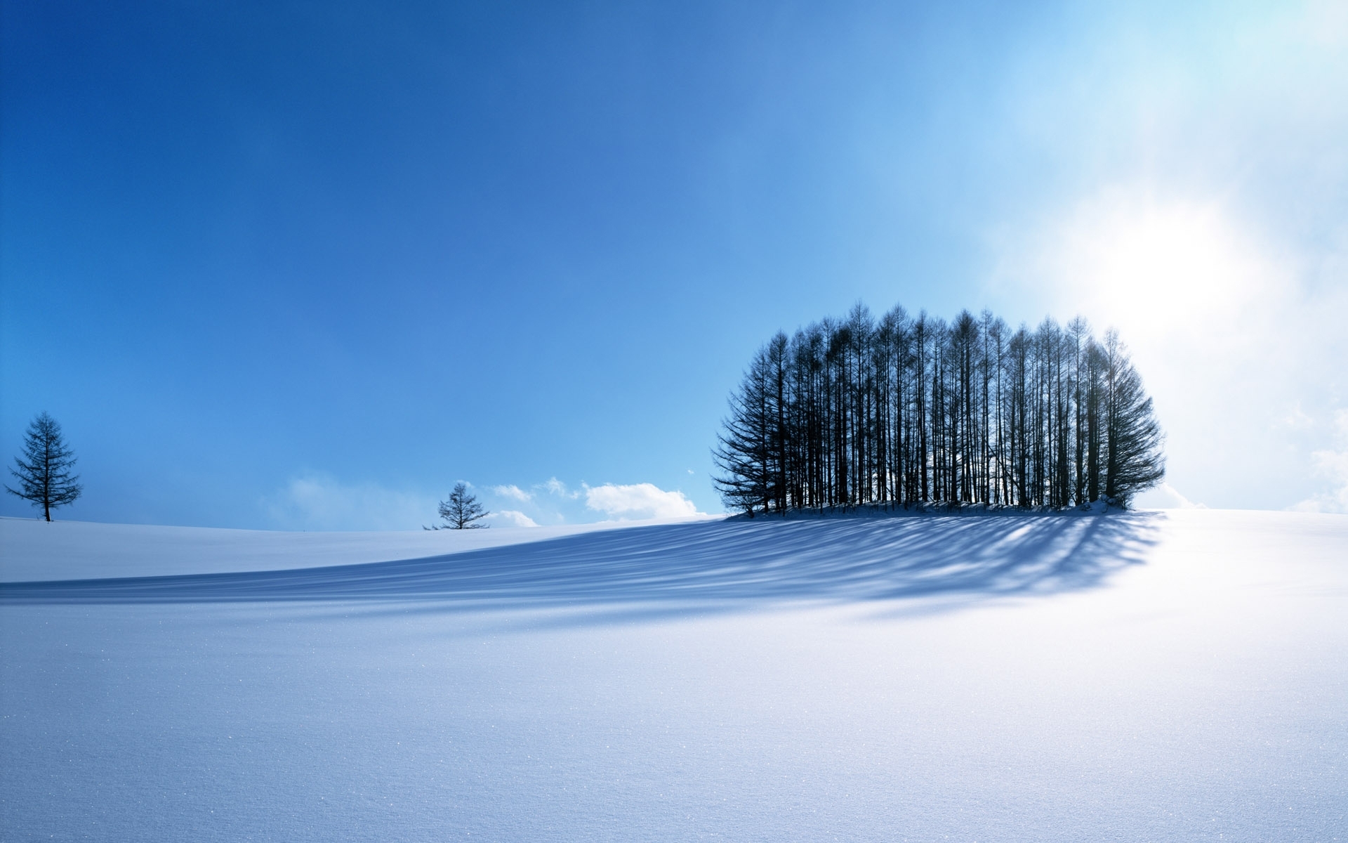 Скачати мобільні шпалери Сніг, Пейзаж, Дерева, Зима безкоштовно.